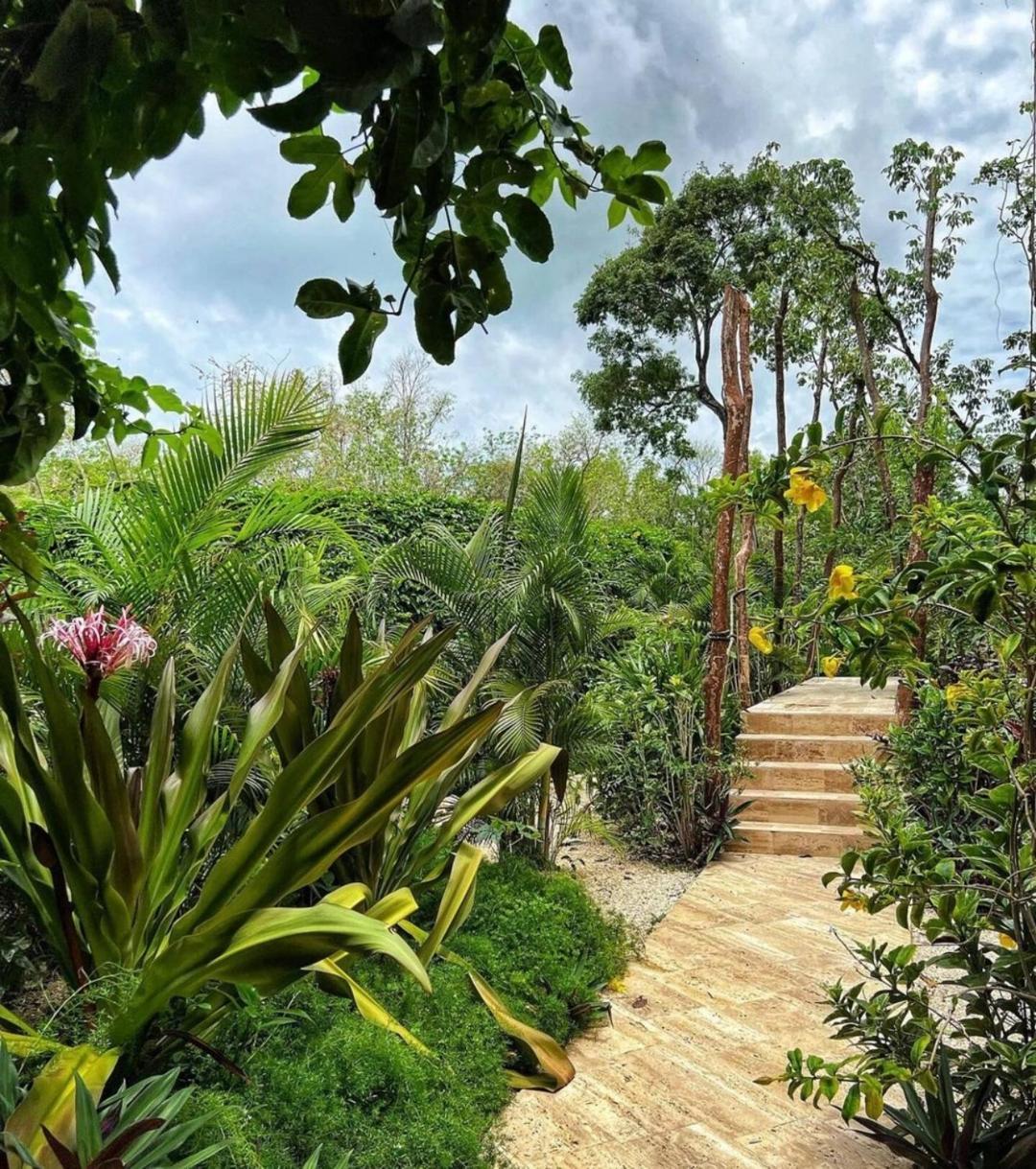 Apartment Anana Yaaxlum 105 S Tulum