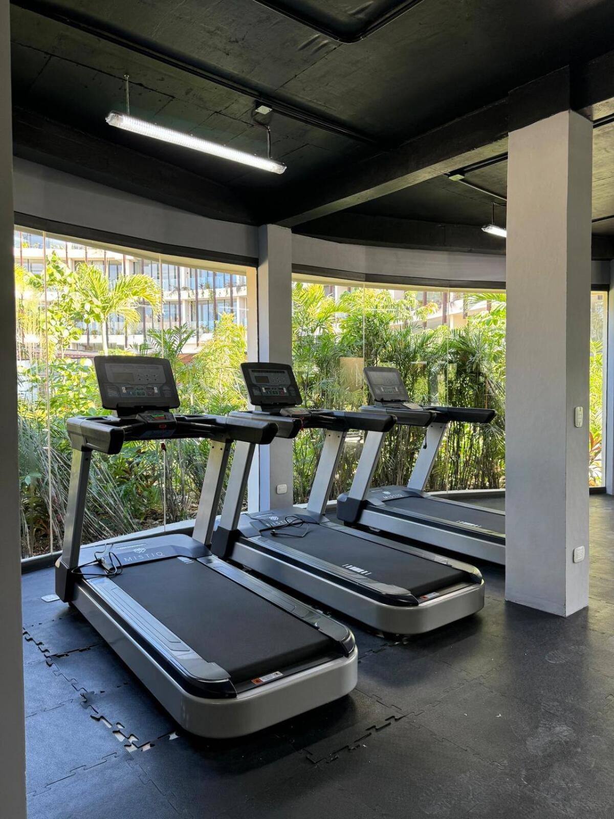 Luxurious Mistiq Gardensii Pool Beachclub Apartment Tulum