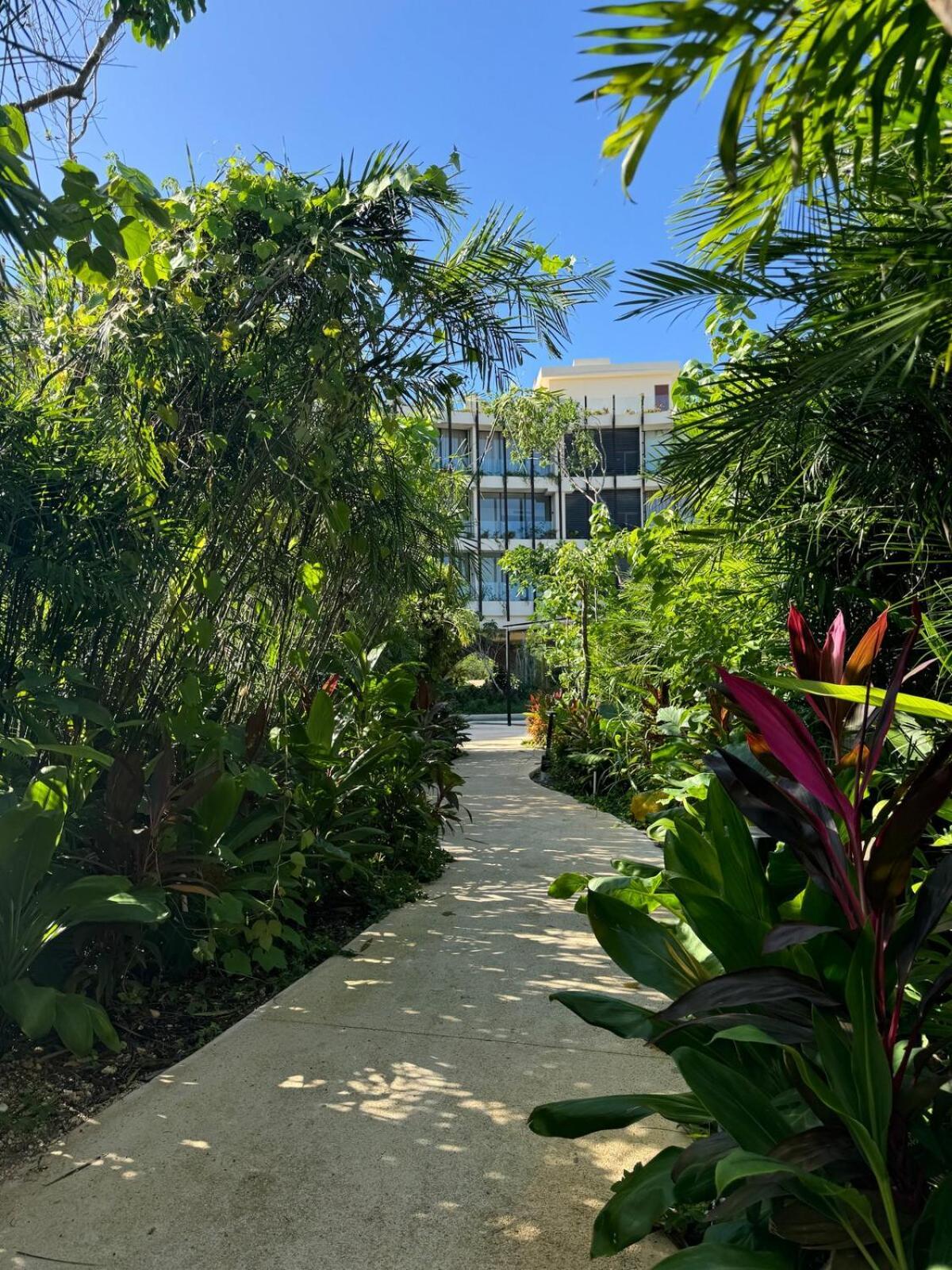 Luxurious Mistiq Gardensii Pool Beachclub Tulum