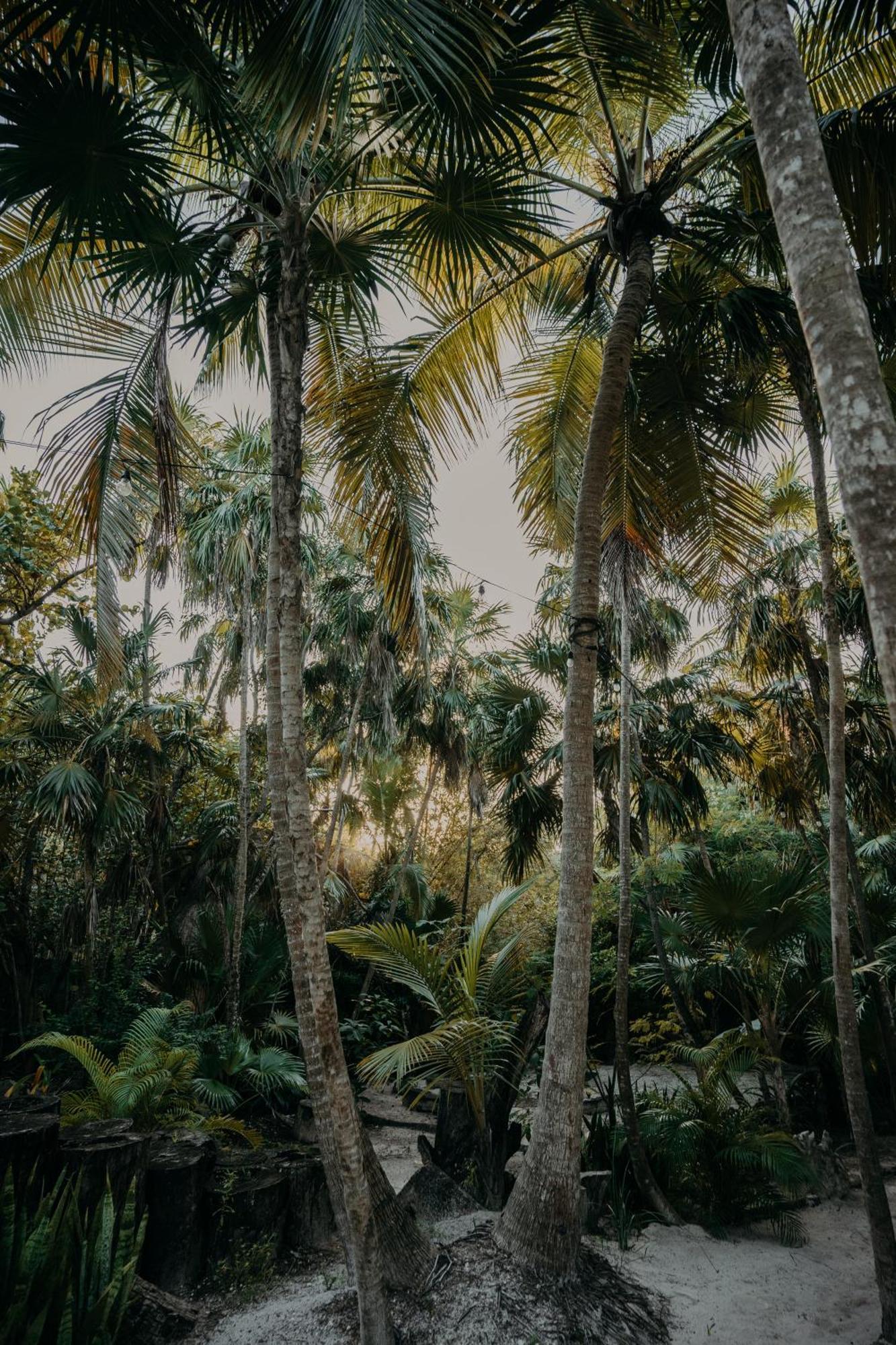 Sacred Hideaways Tulum