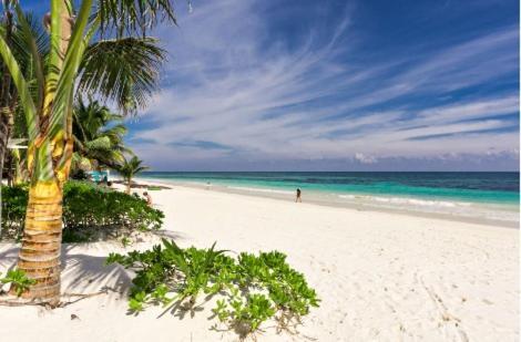 Aldea Beachfront Villa- 2 Bedrooms Tulum