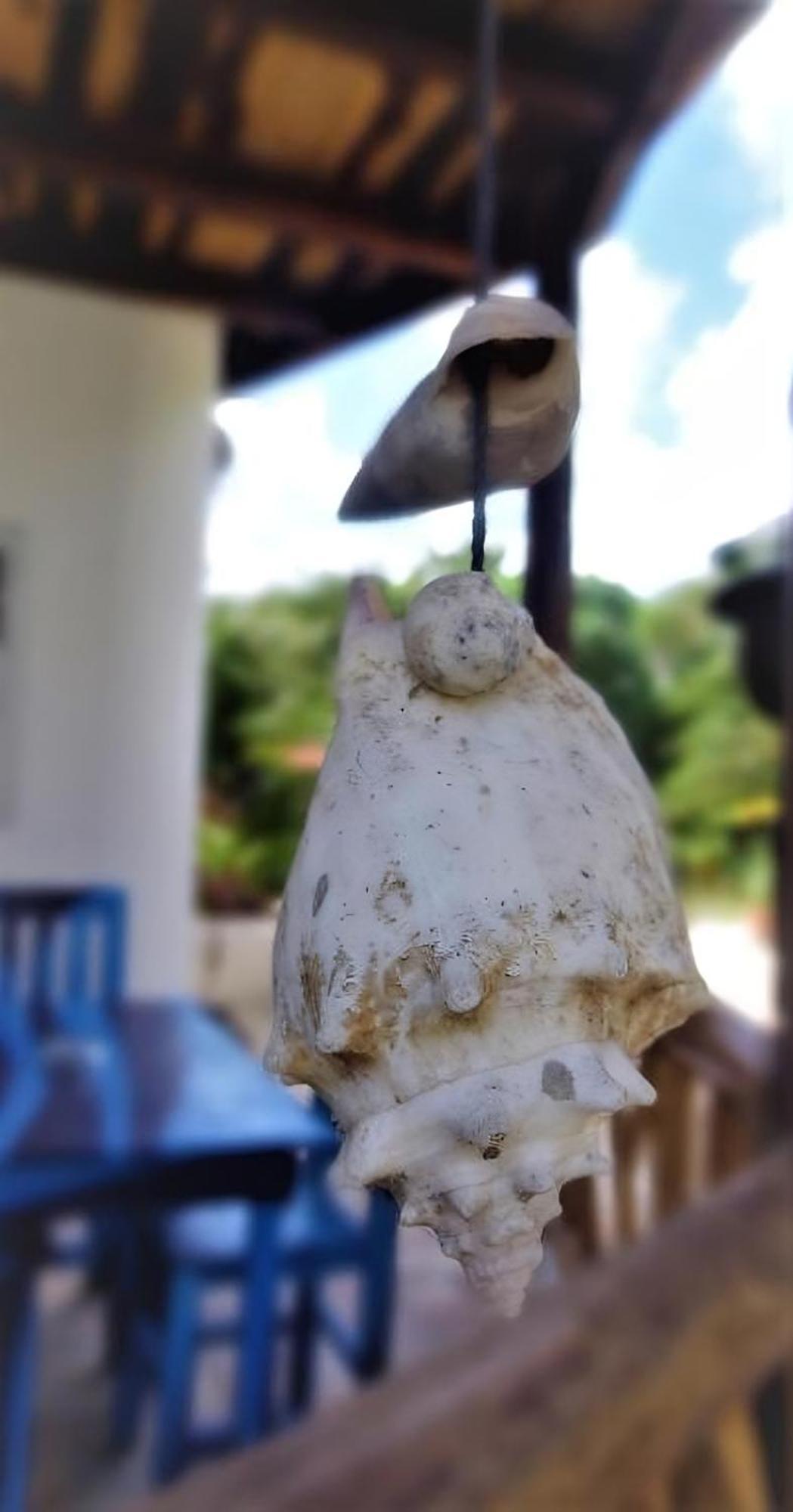 Inn Zamunda Garden View