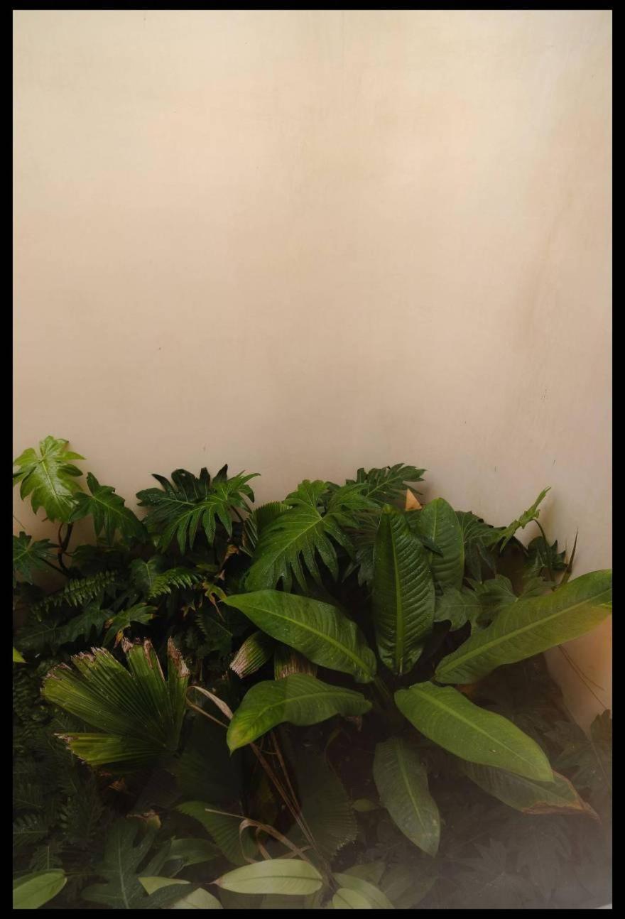 M11 Casa Leela - Luxe 5br With 2 Pools Inn Tulum