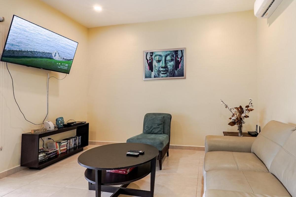 Spacious Penthouse With Private Rooftop & Jacuzzi Apartment