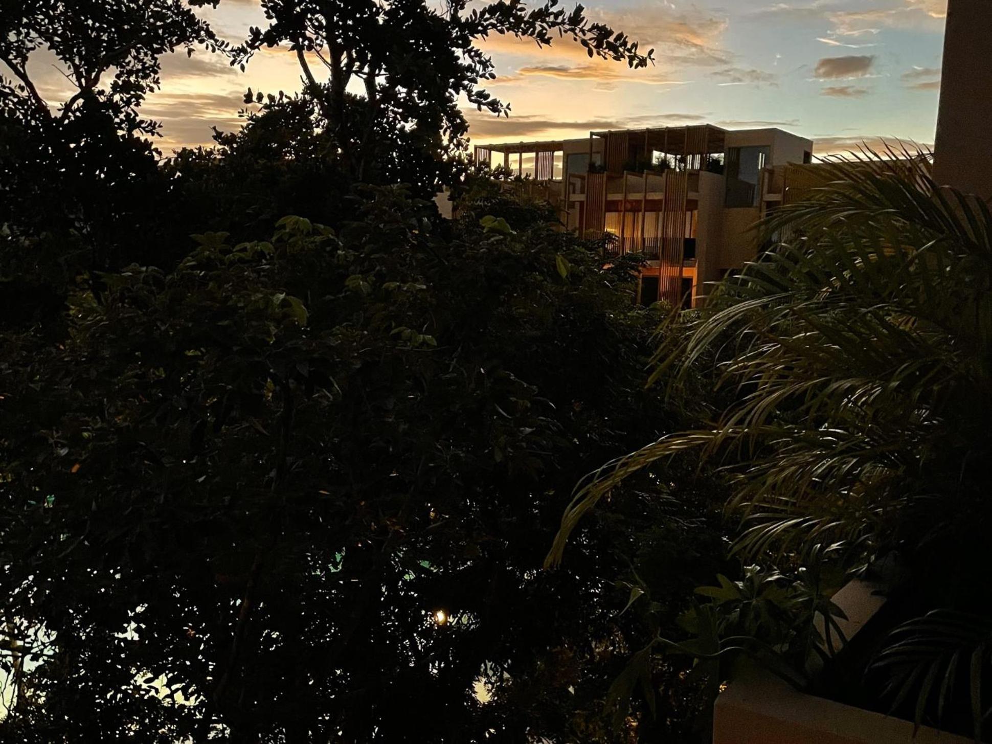 Aflora - Managed By Elite Alliance Tulum