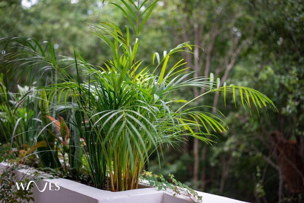 Apartment 1 Rec. | Amenidades Lx | Ubicacion Prime Tulum