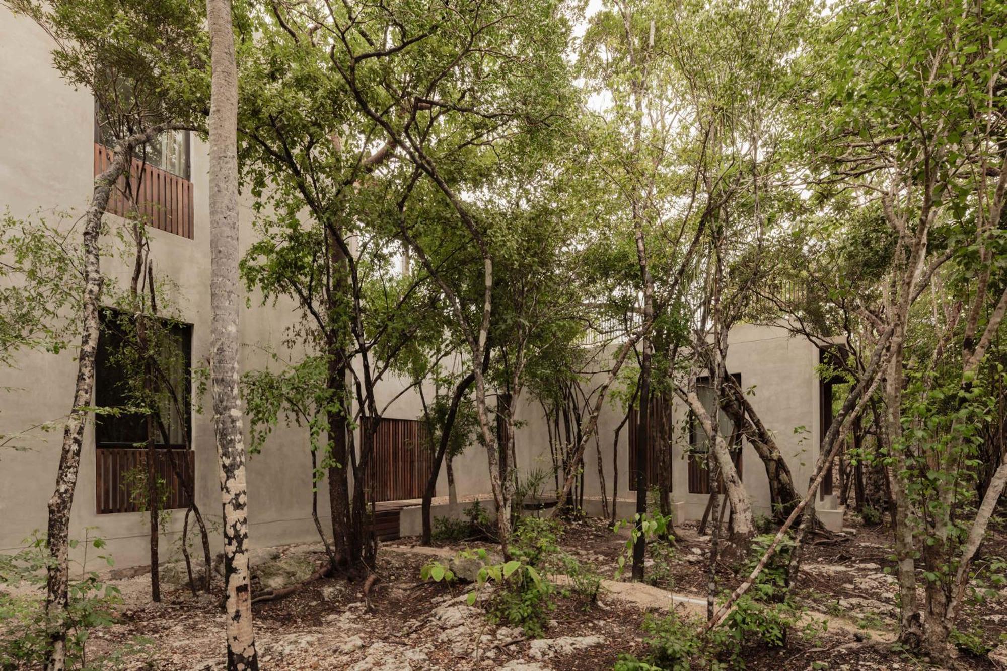 Luxury Jungle - Sleeps 21 - Private Pool Tulum