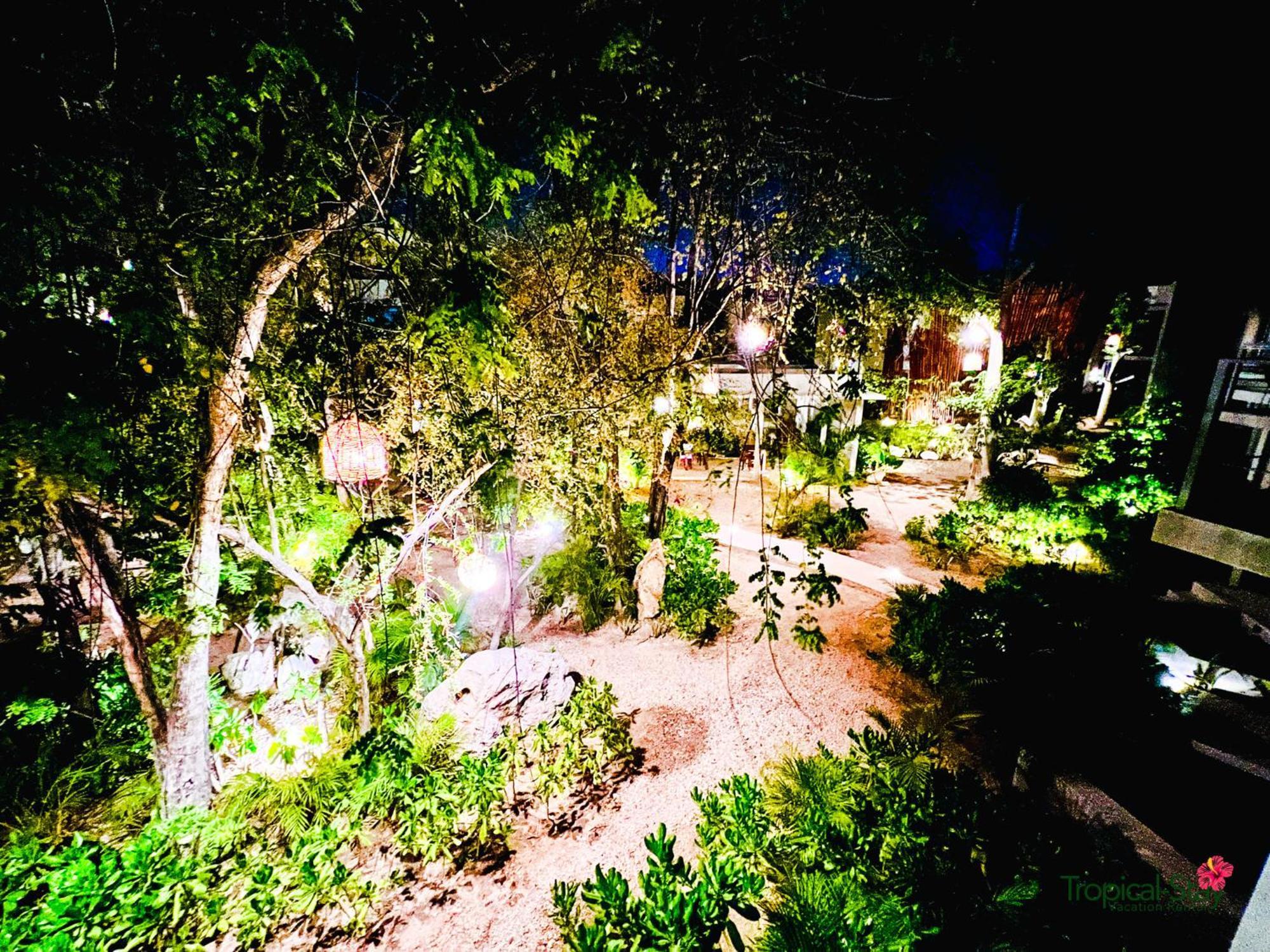 Apartment Private Pool New Jungle King Bed Wifi 603 *