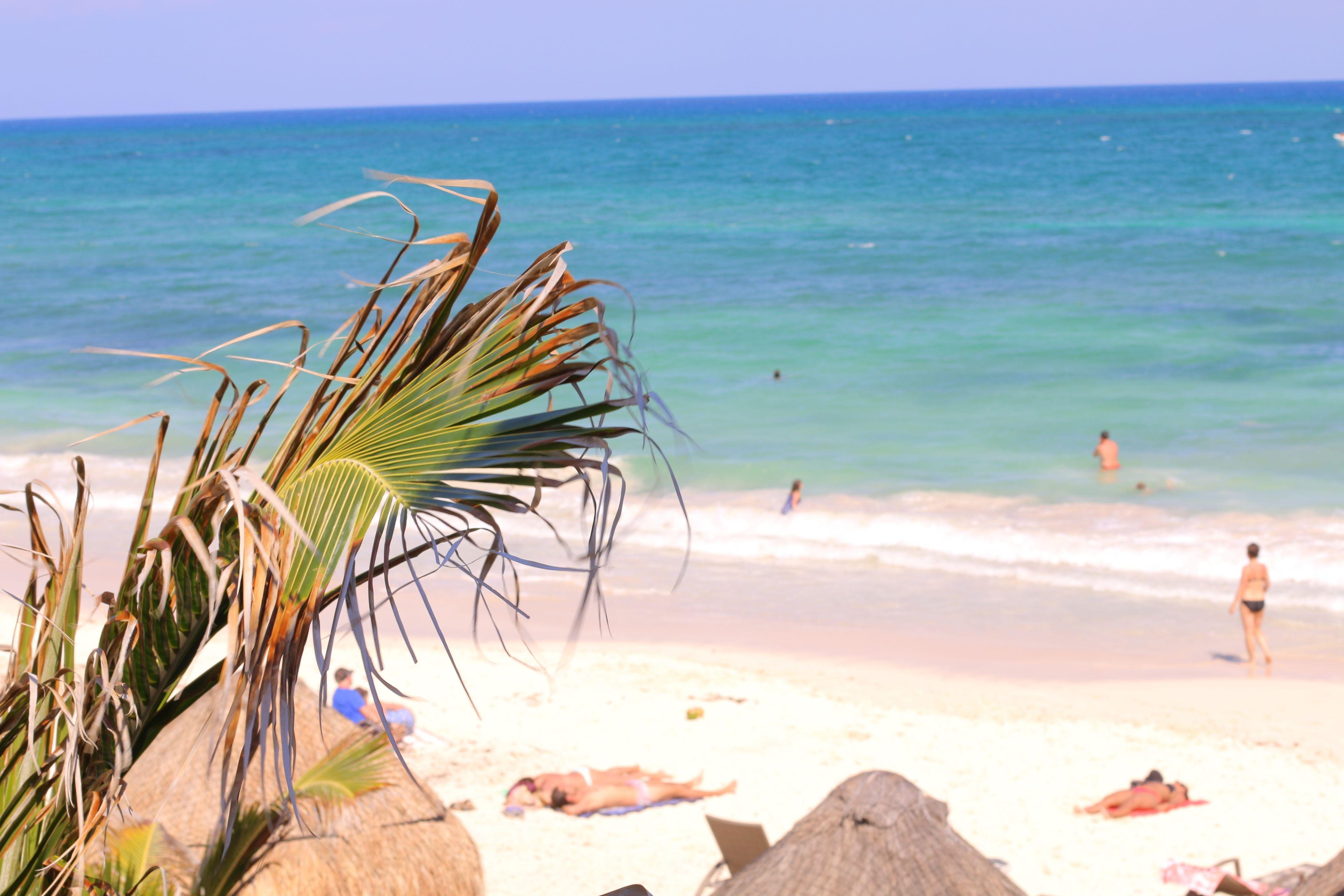 Punta Piedra