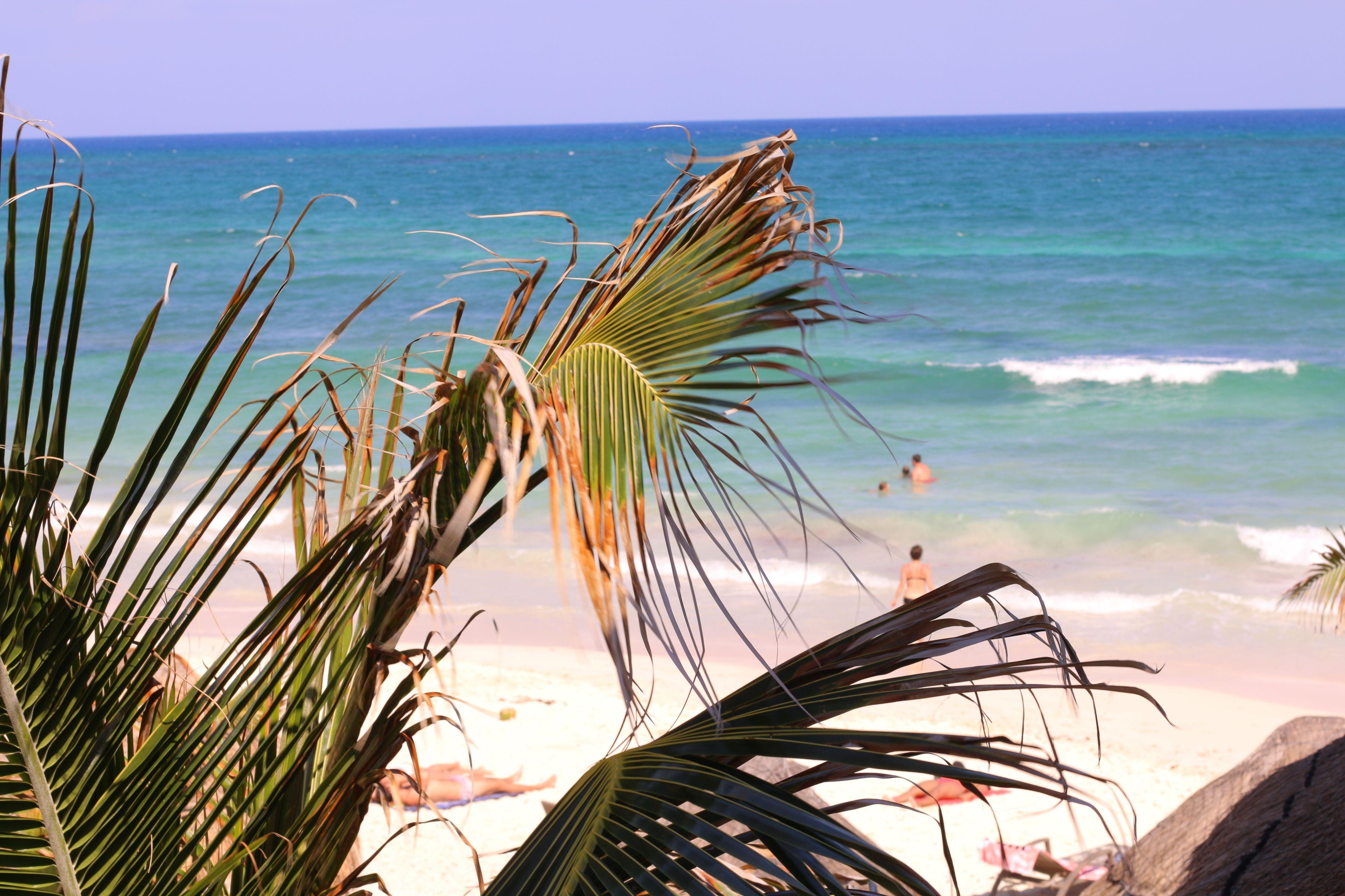 Punta Piedra 3*