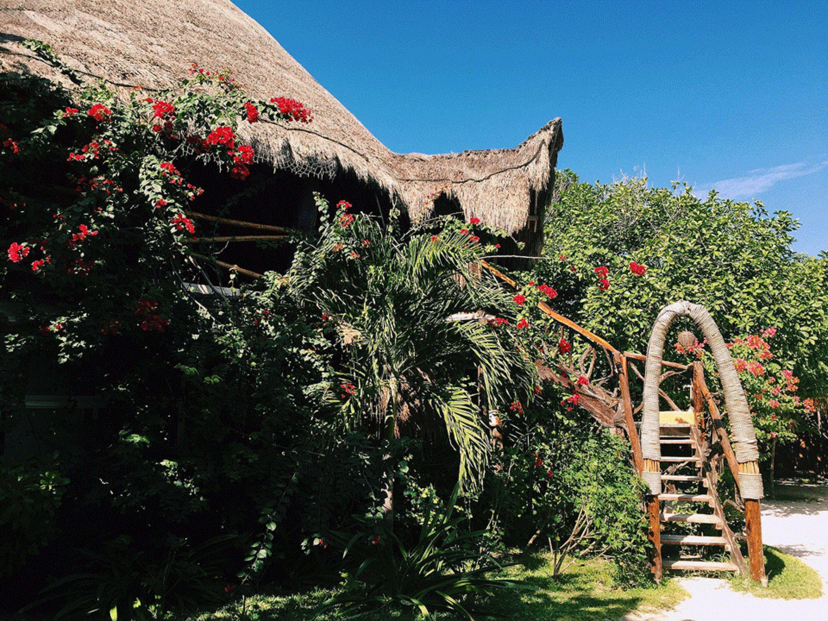 Amansala Hotel