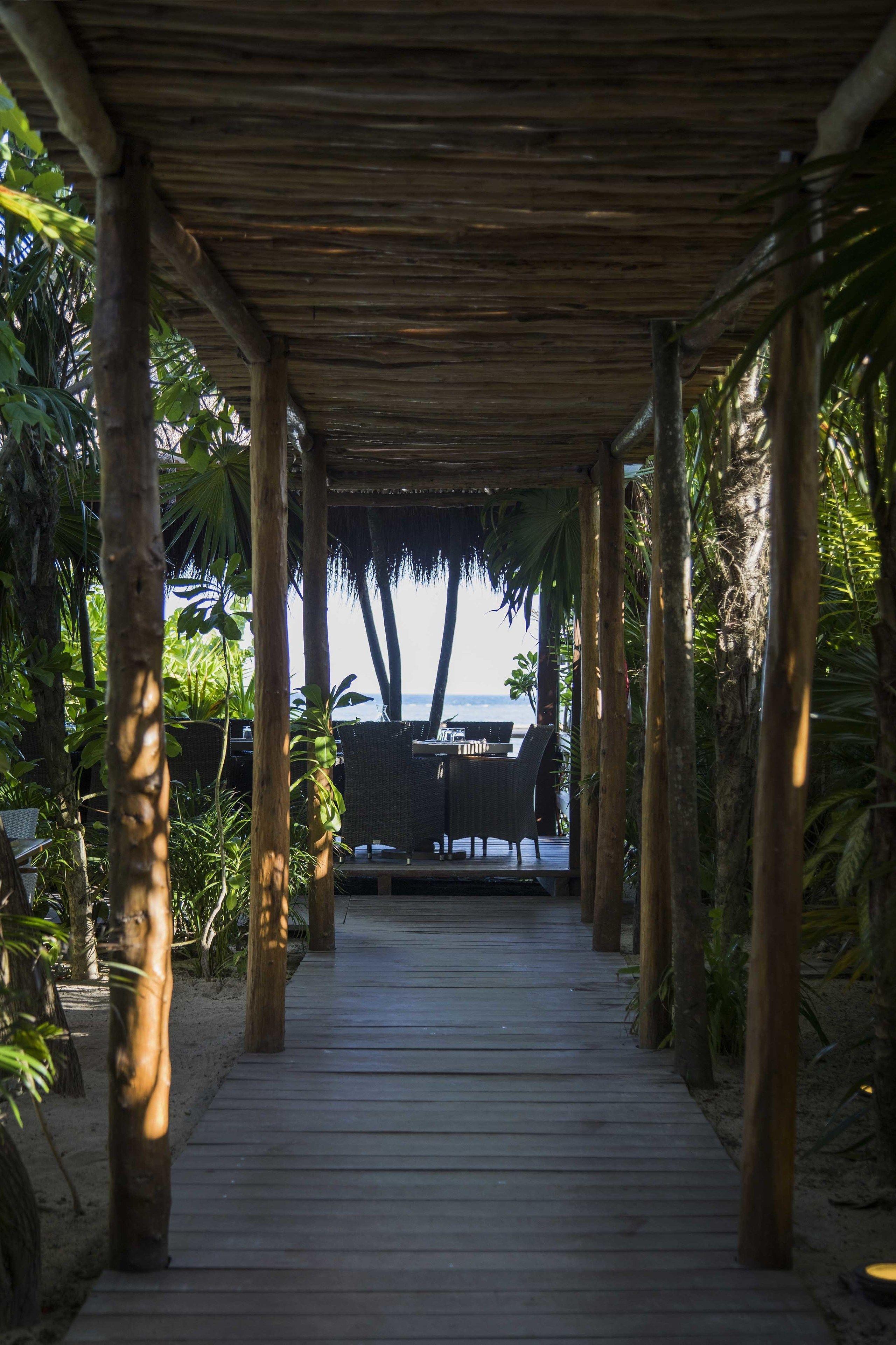 Jashita Hotel (Adults Only) Tulum