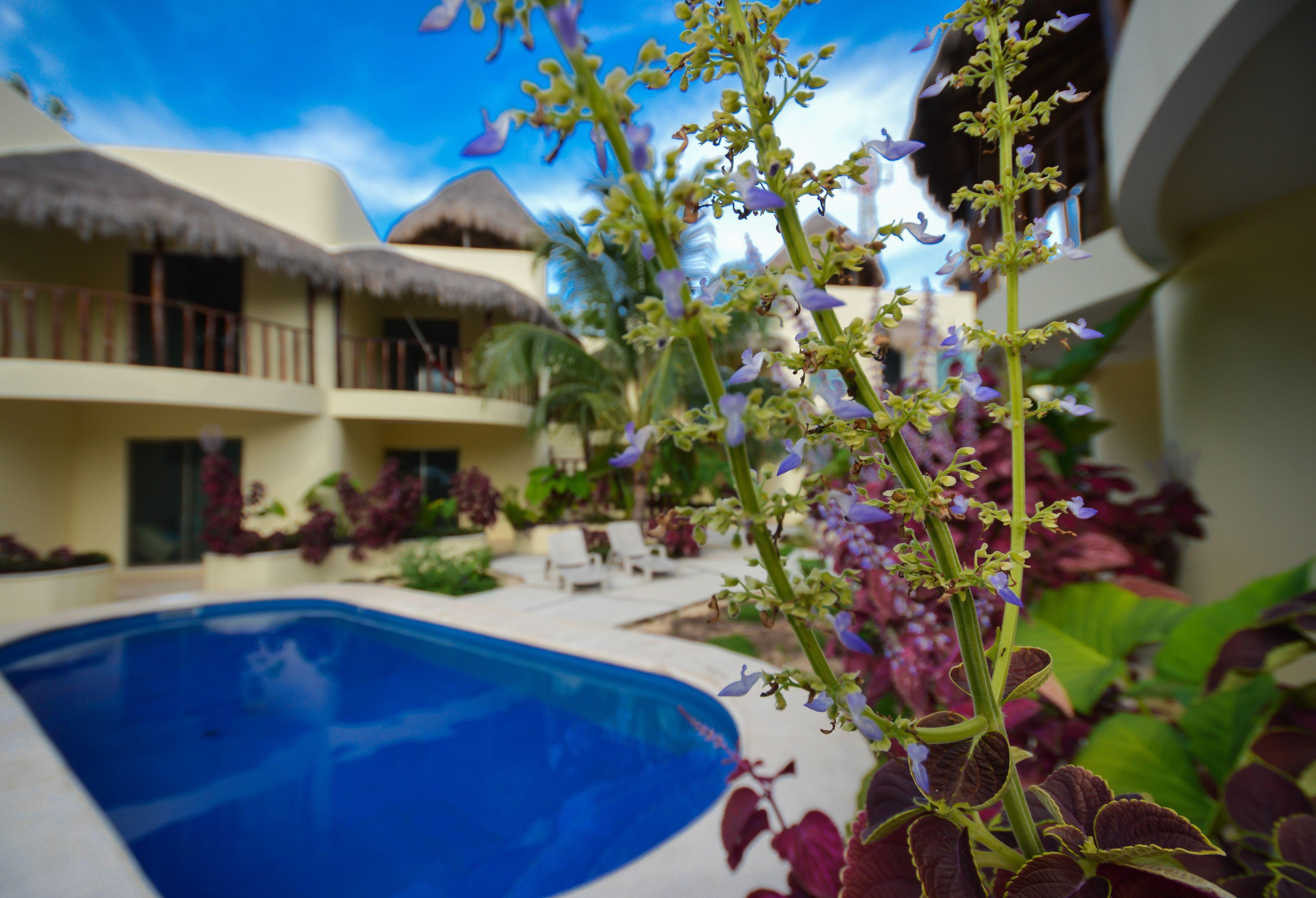 Aparthotel Akalan 4*