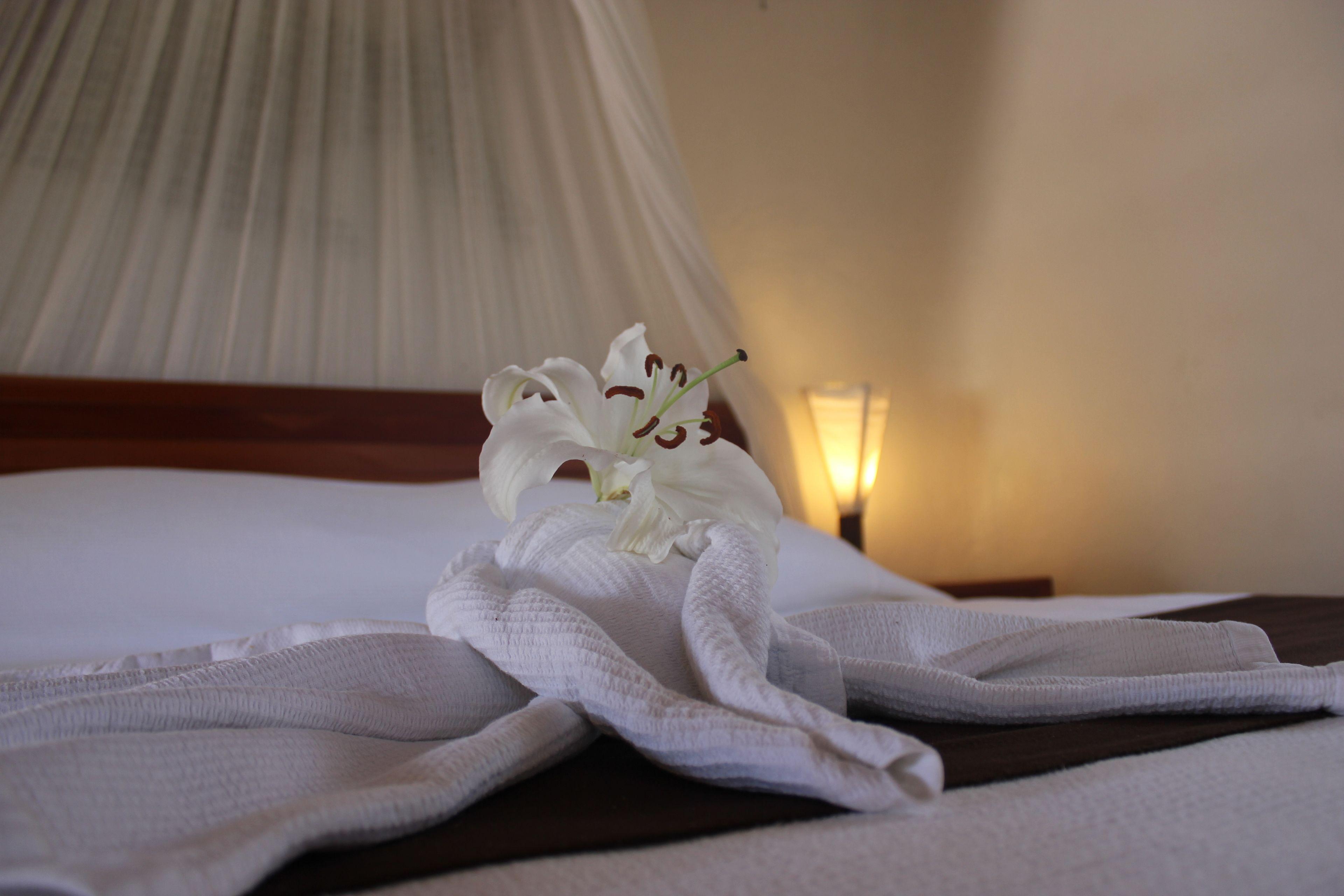 Piedra Escondida Hotel