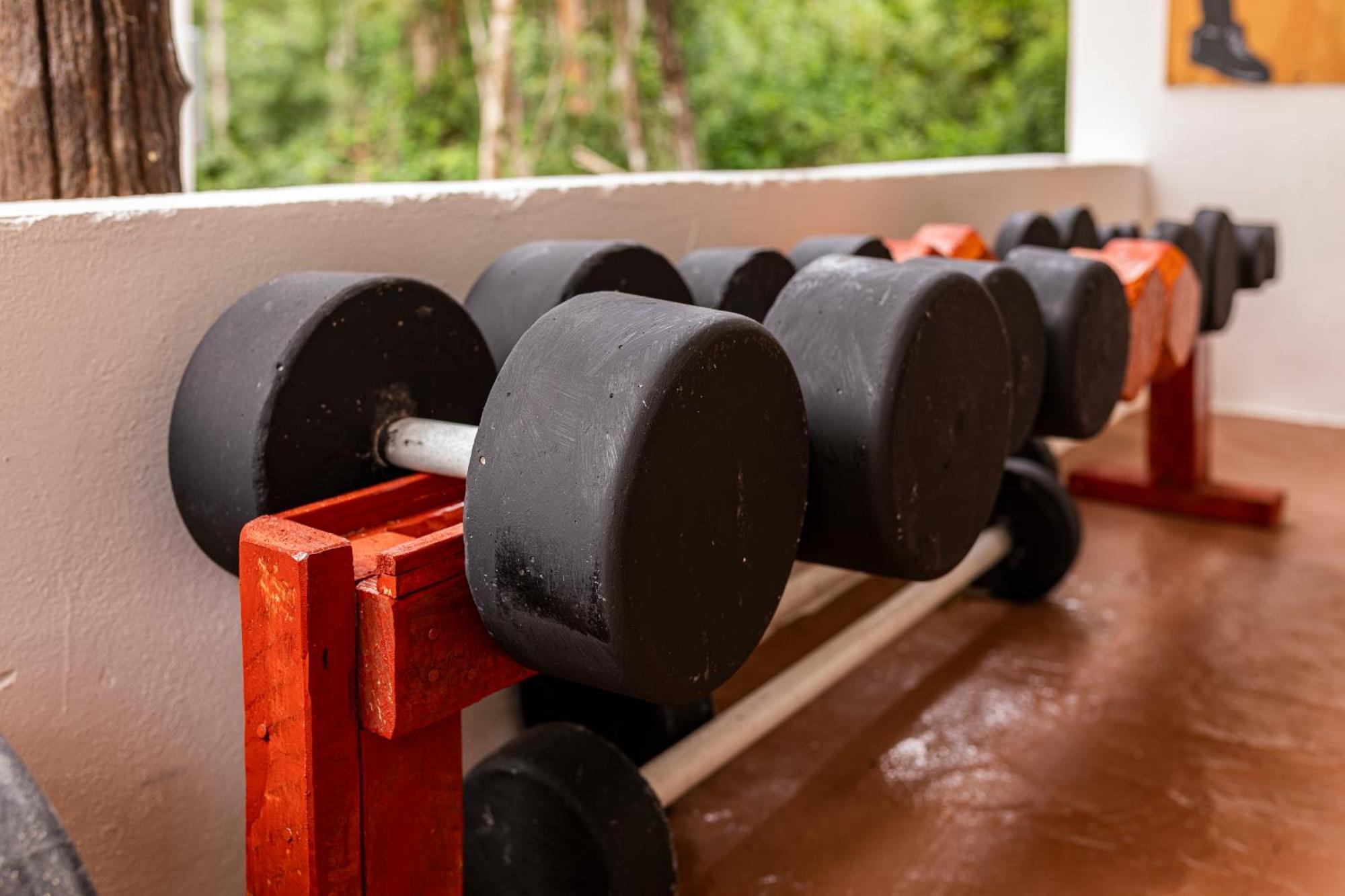 Xtambaa Selva Lodge *