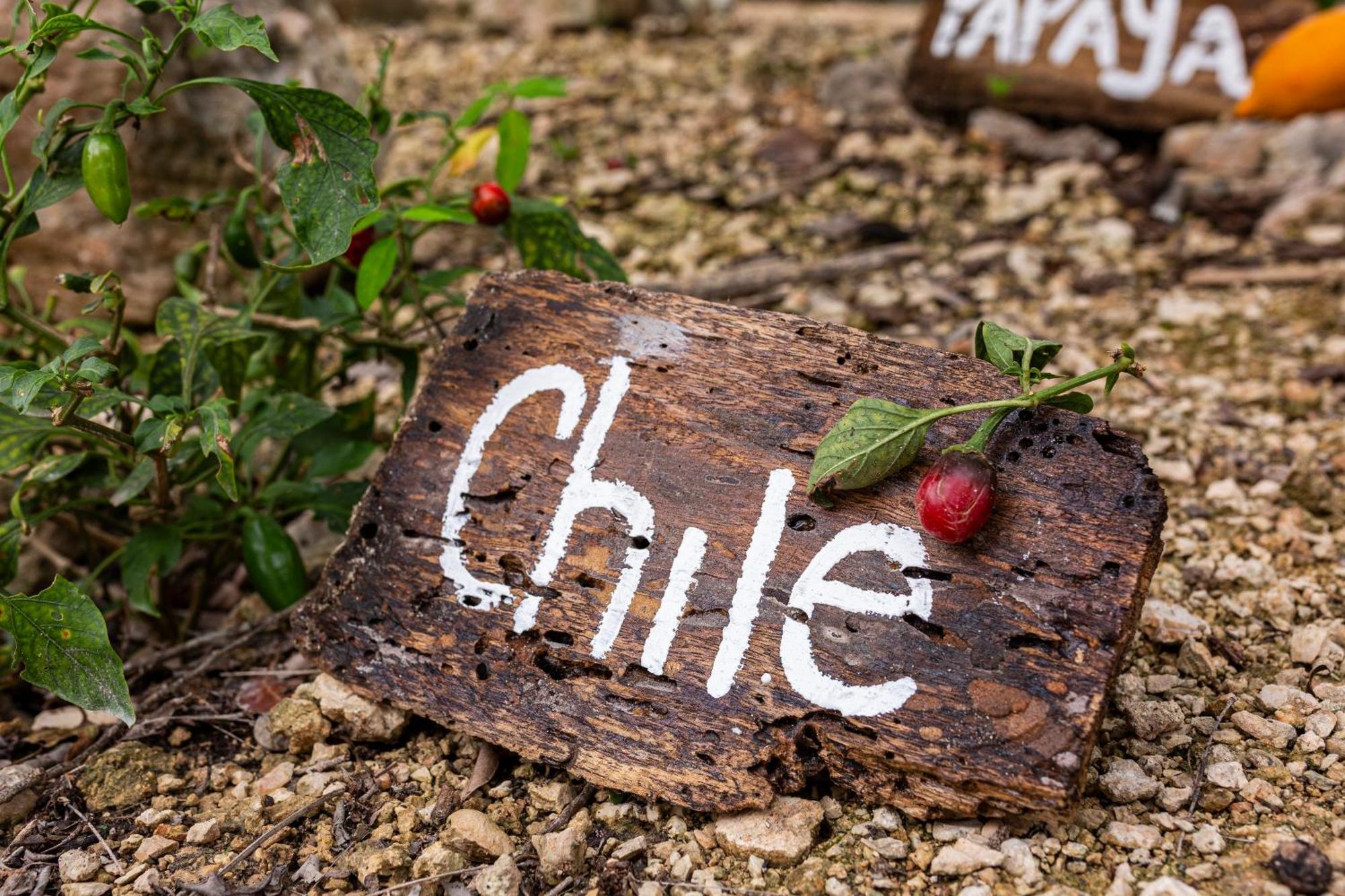 Lodge Xtambaa Selva *