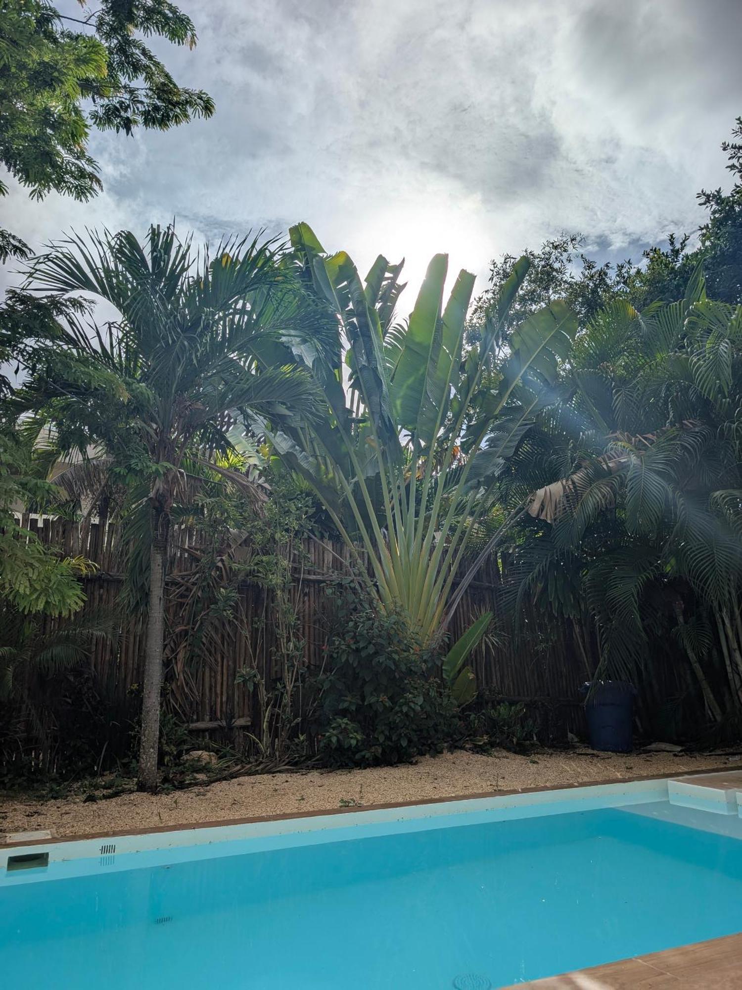 Luxury 4 Bedroom With Private Pool Villa Tulum