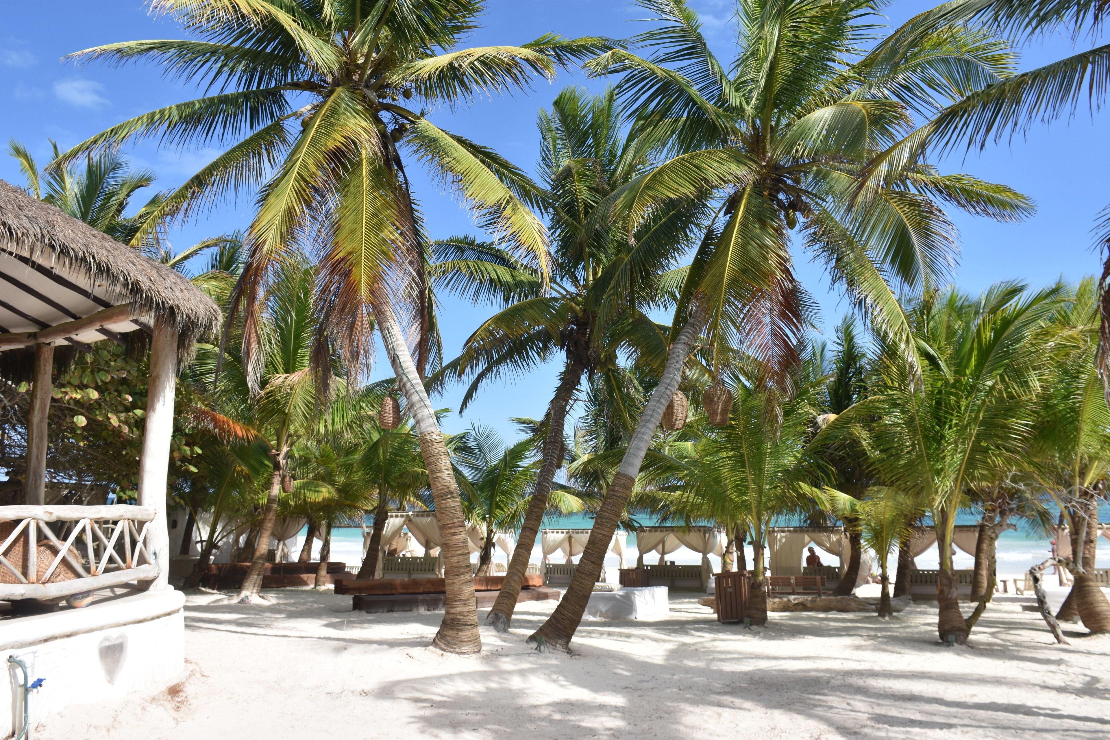 Alquimia Boutique 4* Tulum