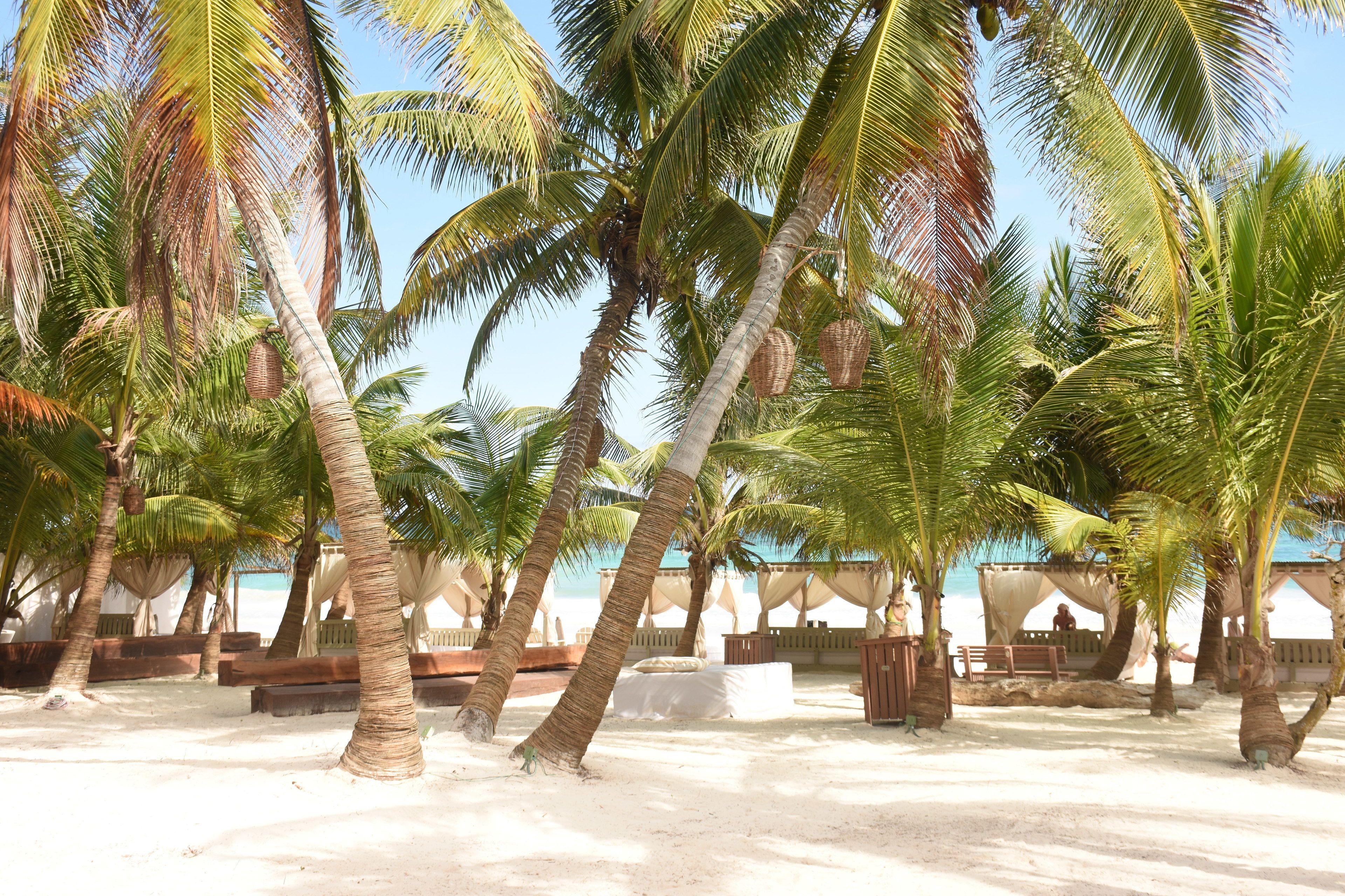 Alquimia Boutique 4*