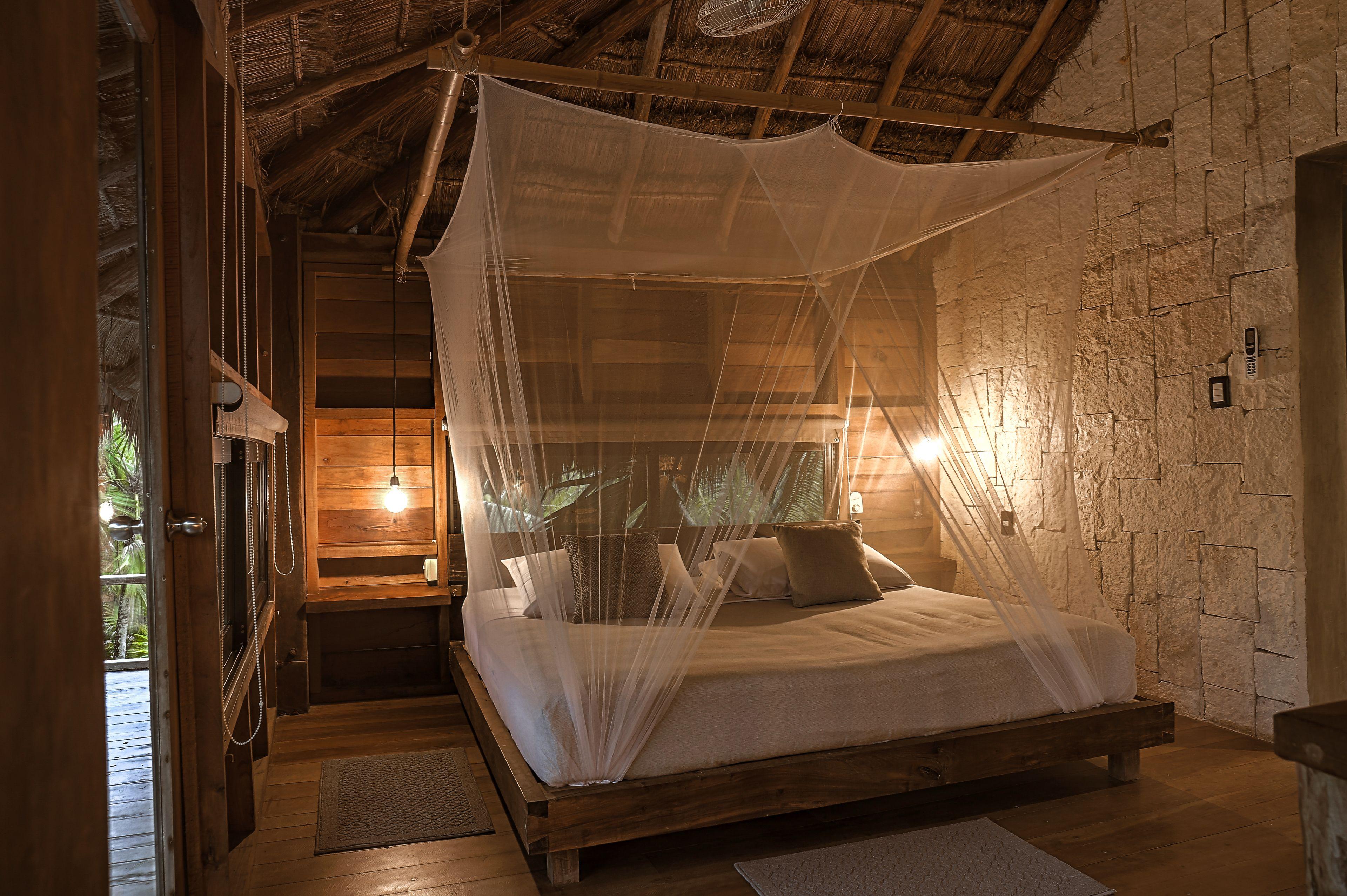 Vida Silvestre * Tulum