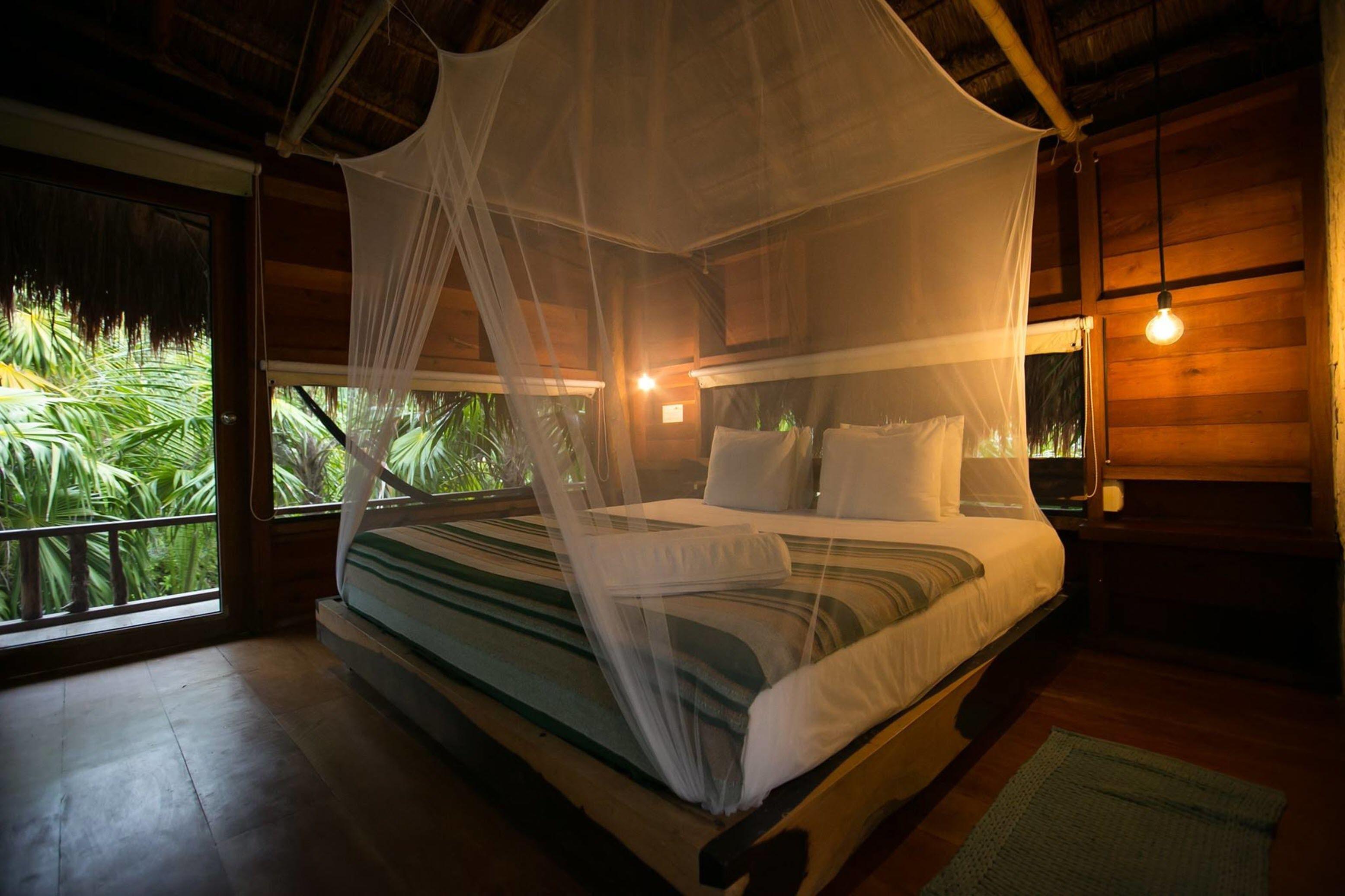 Vida Silvestre * Tulum