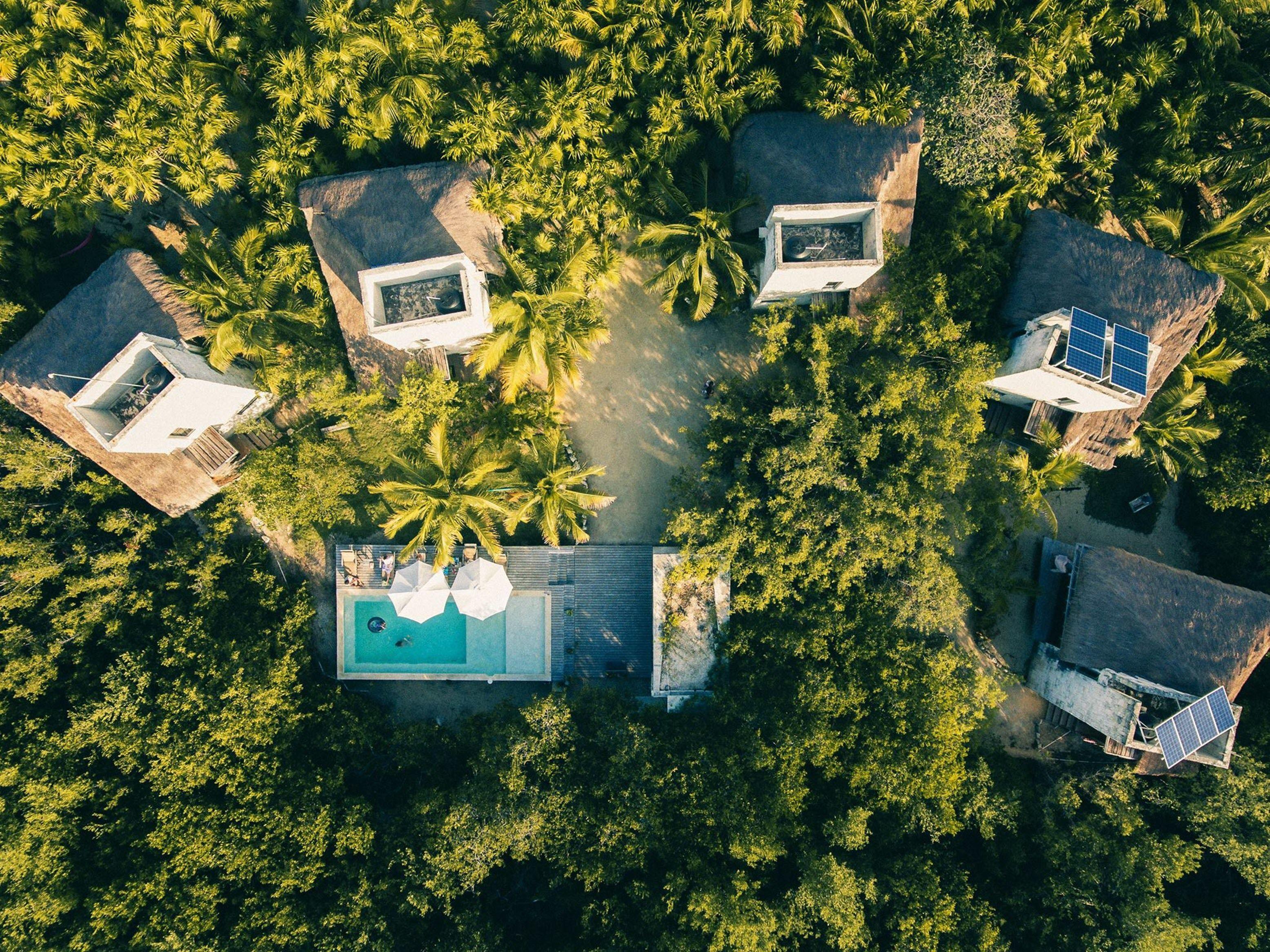 Vida Silvestre Tulum