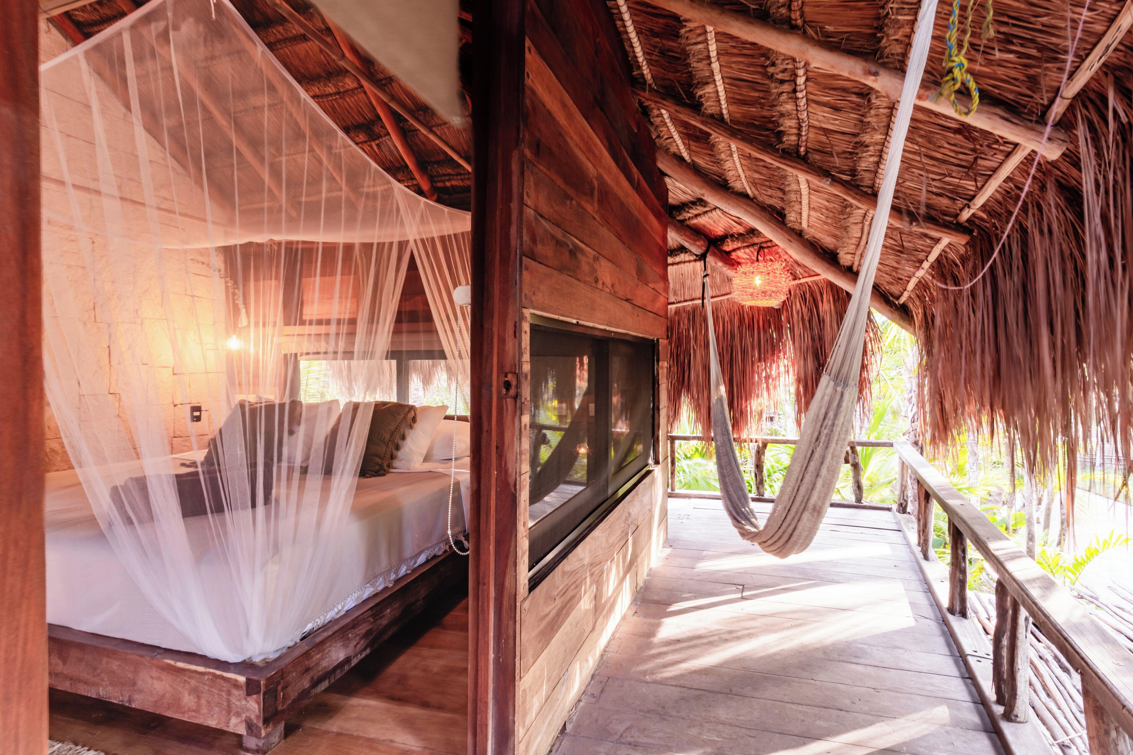 Lodge Vida Silvestre *