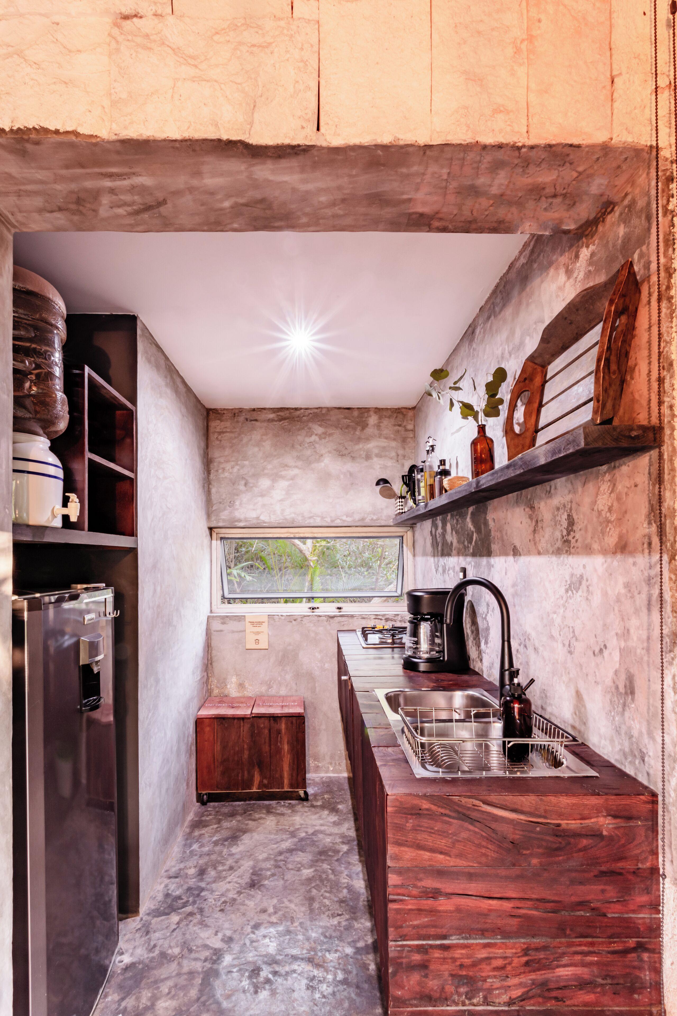 Vida Silvestre * Tulum