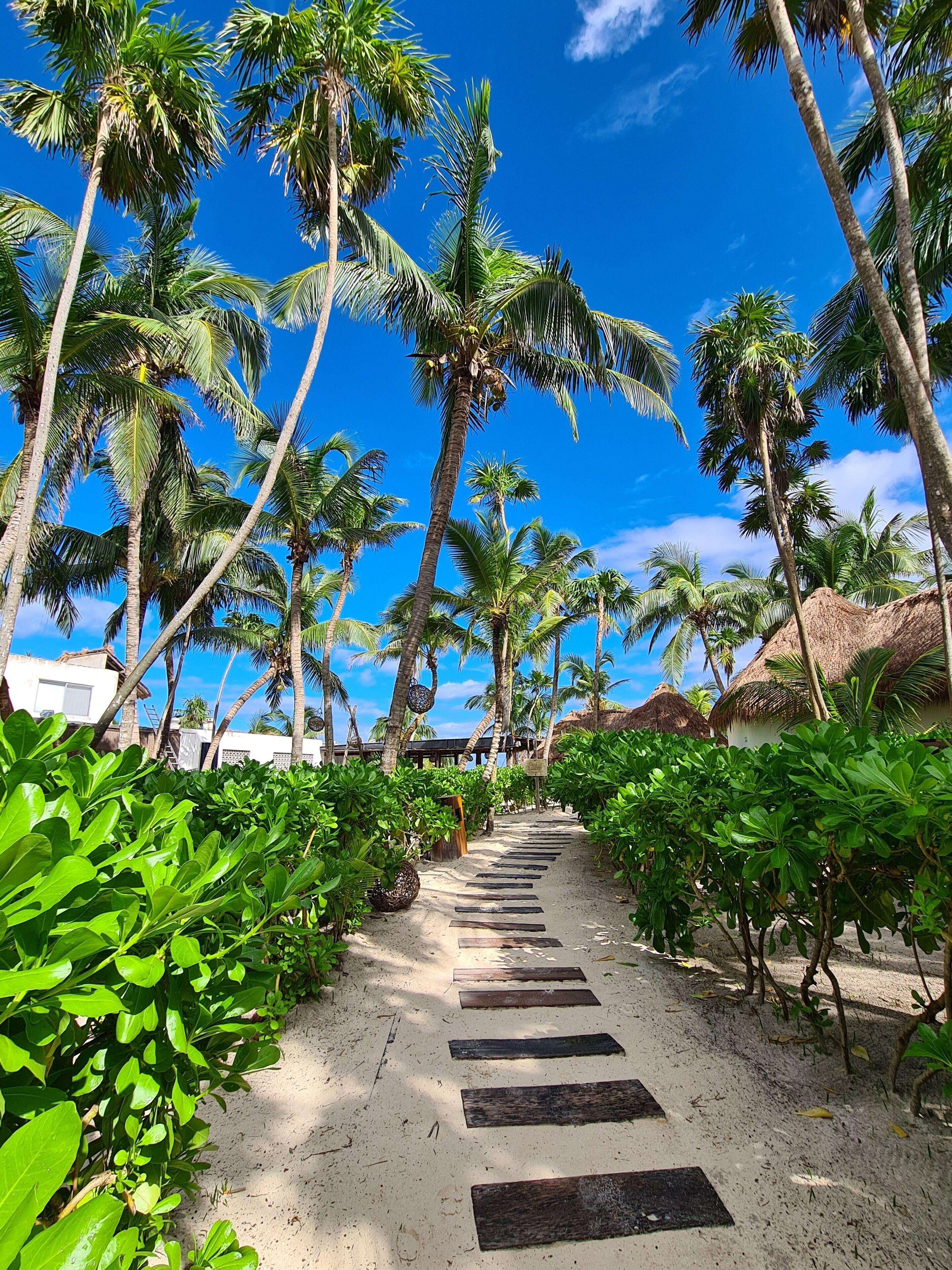 Hotel Amigos Boutique