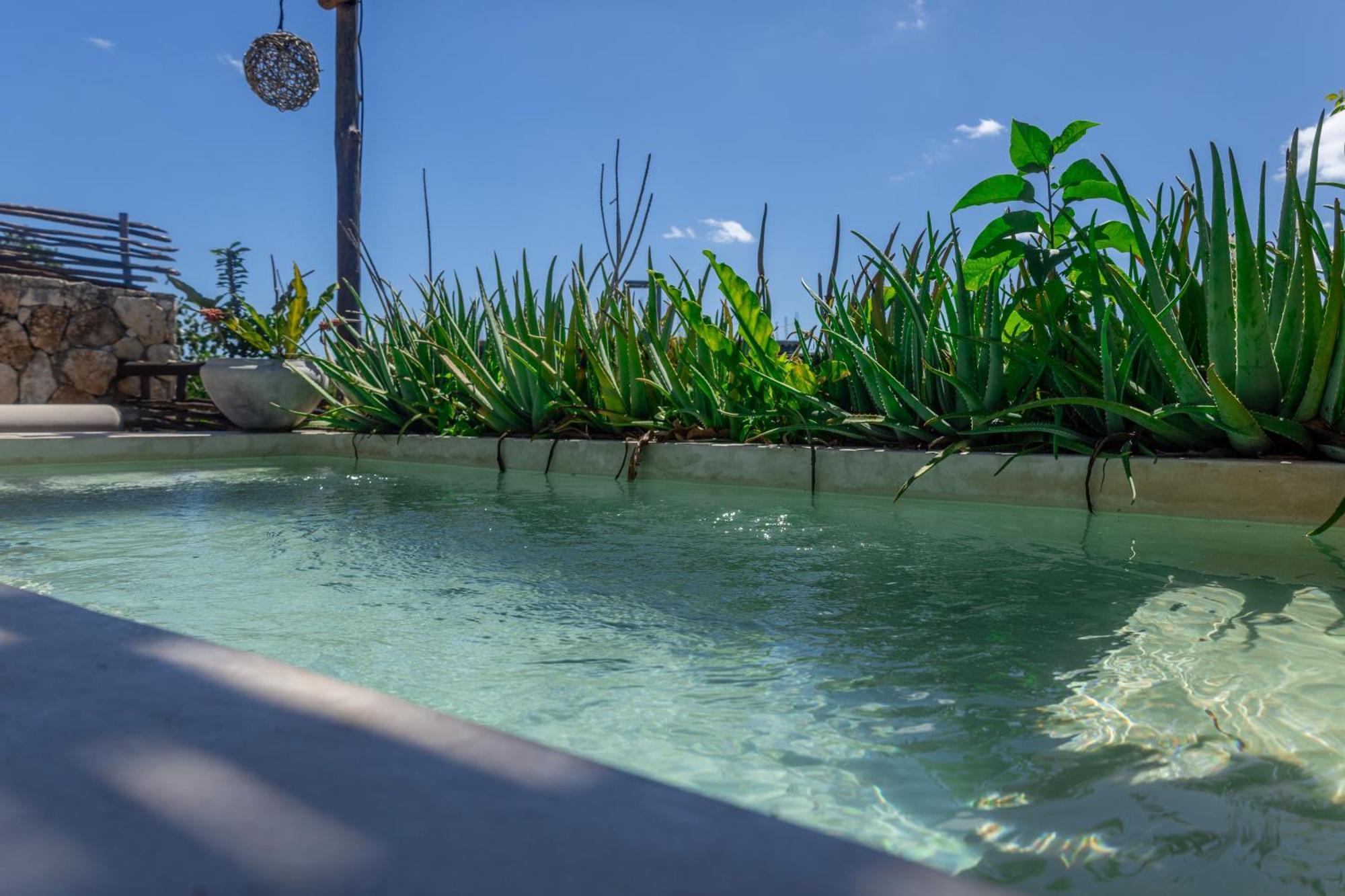 Teva Tulum, Aldea Zama Apartment *