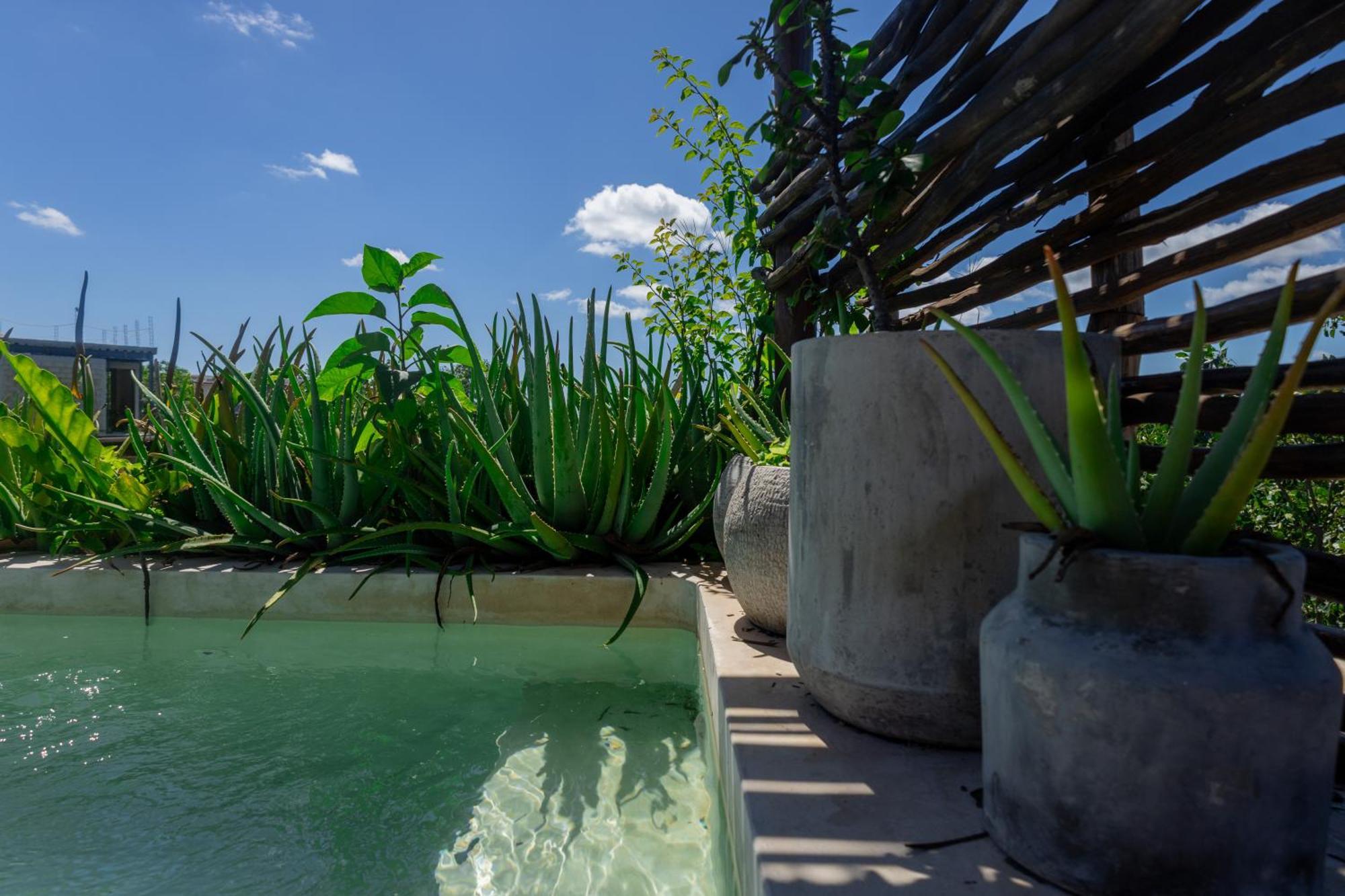 Teva Tulum, Aldea Zama Apartment