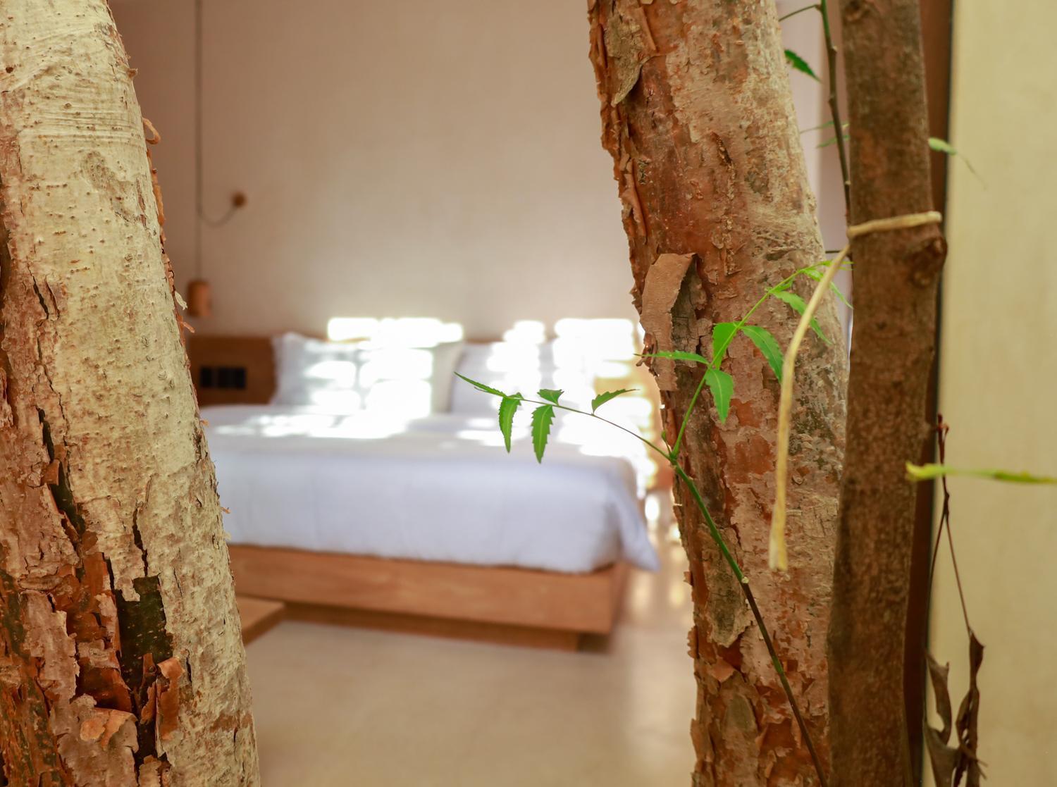 Teva Tulum, Aldea Zama