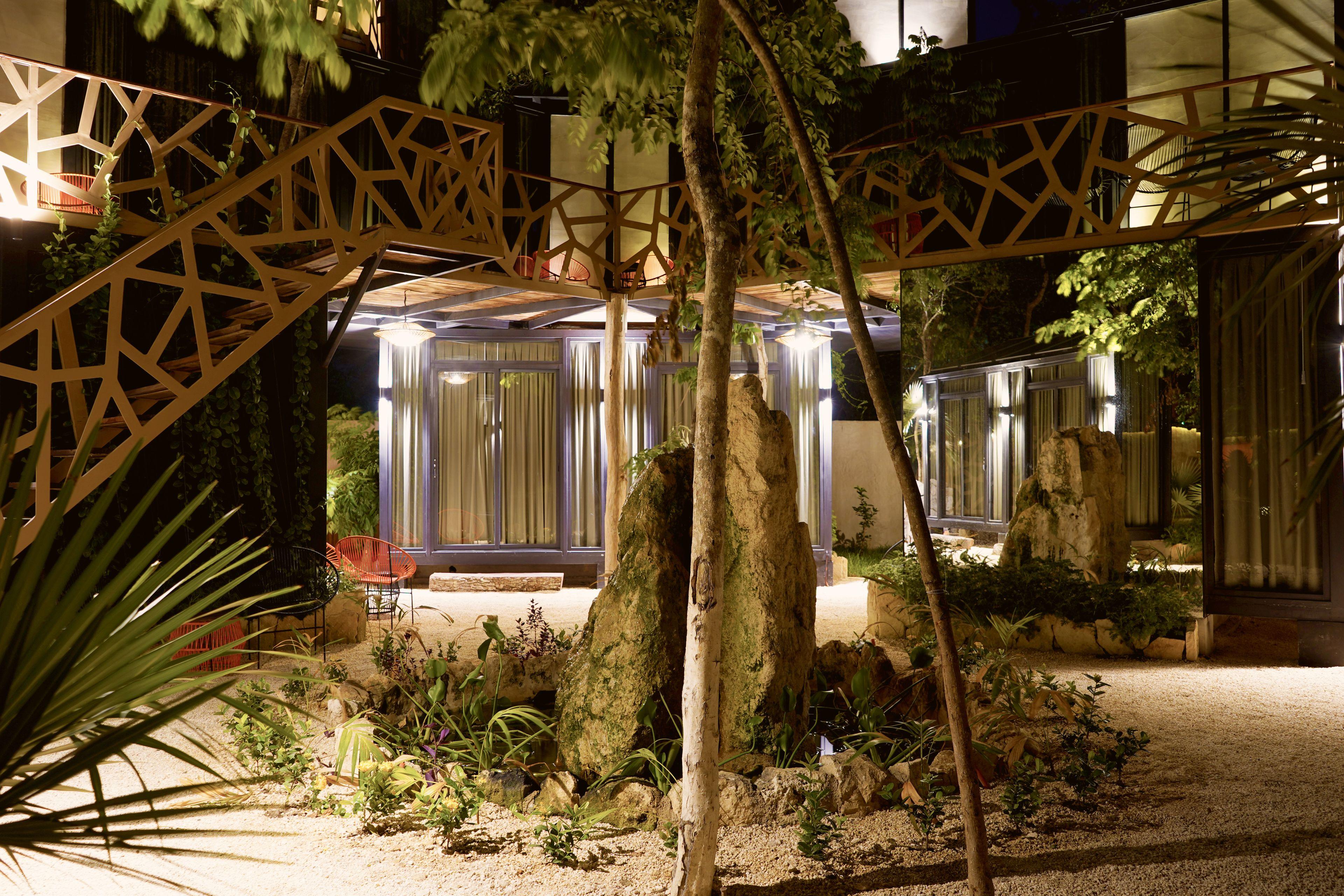 Bufo Alvarius 2* Tulum