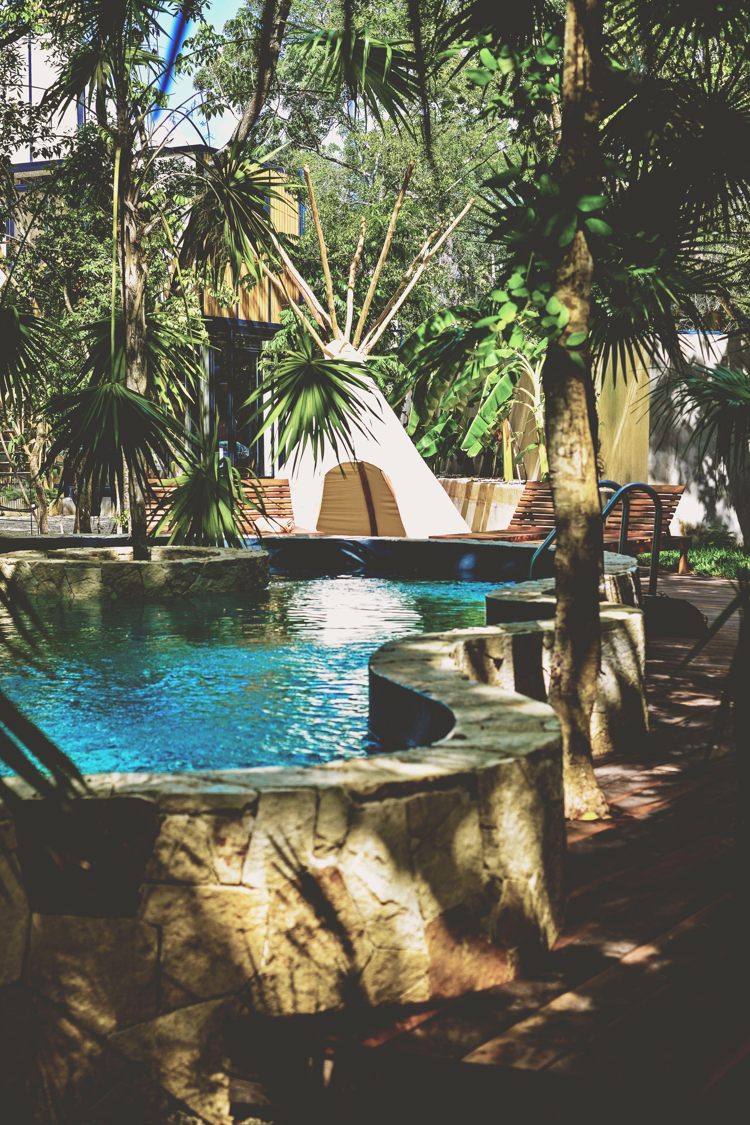 Bufo Alvarius Hotel 2*