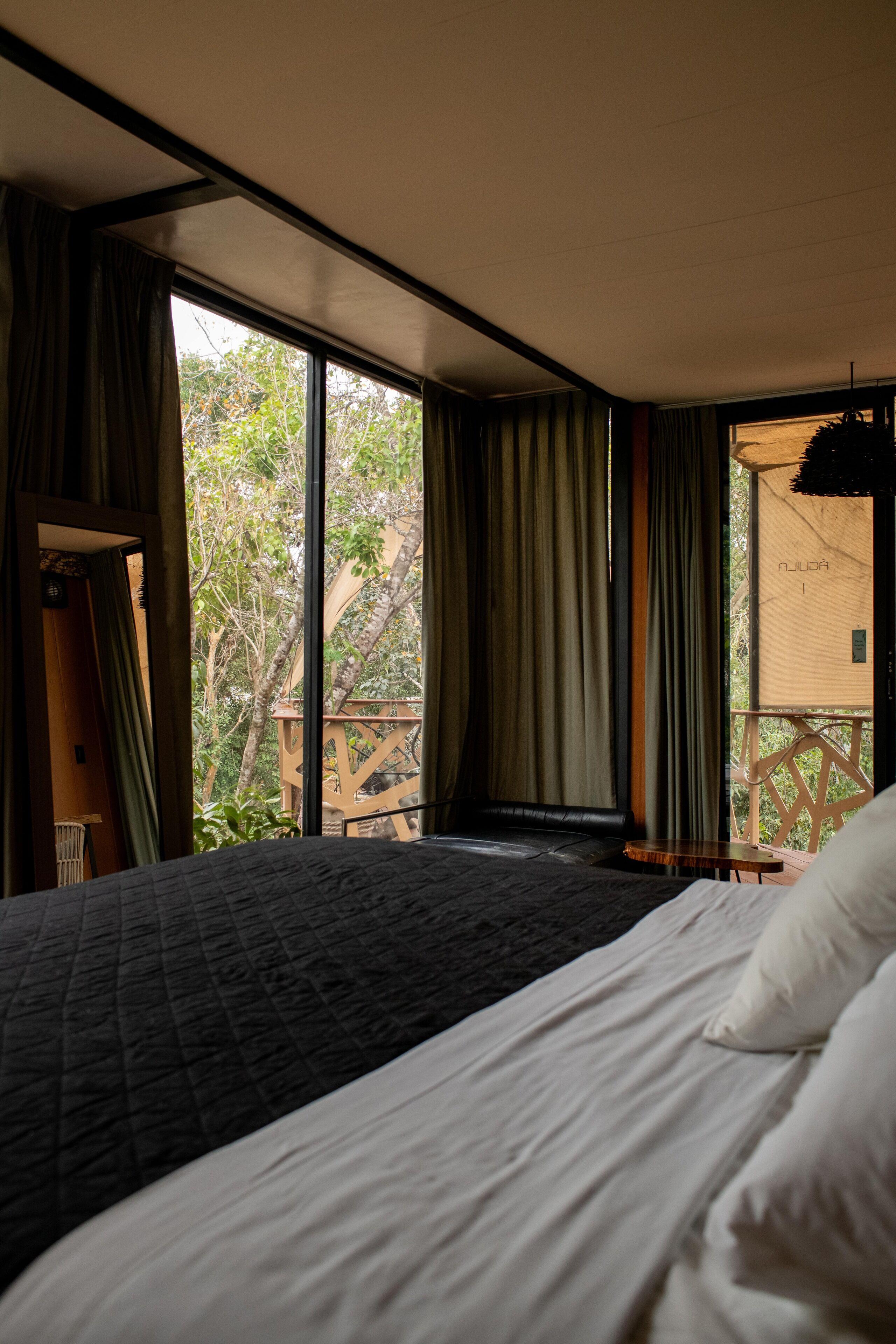 Hotel Bufo Alvarius