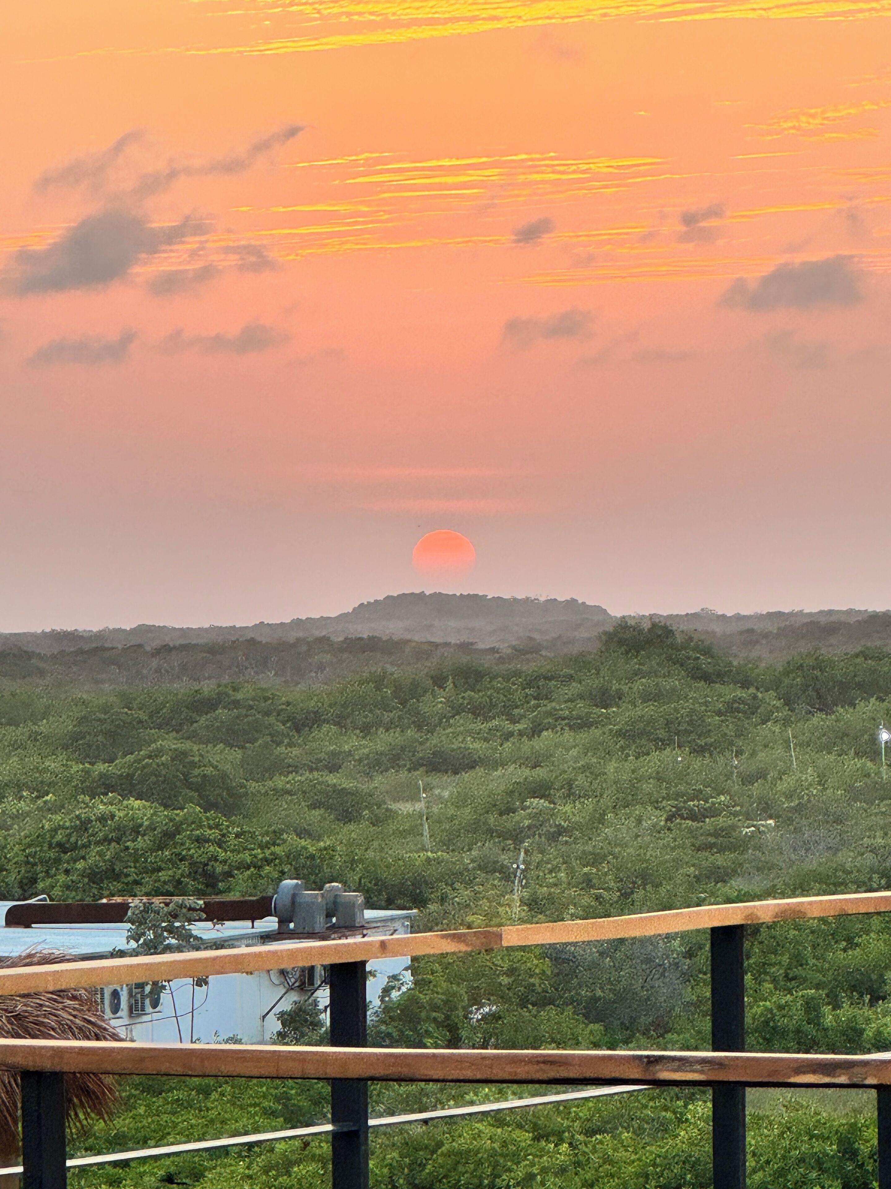 Caiman Habitat Tulum