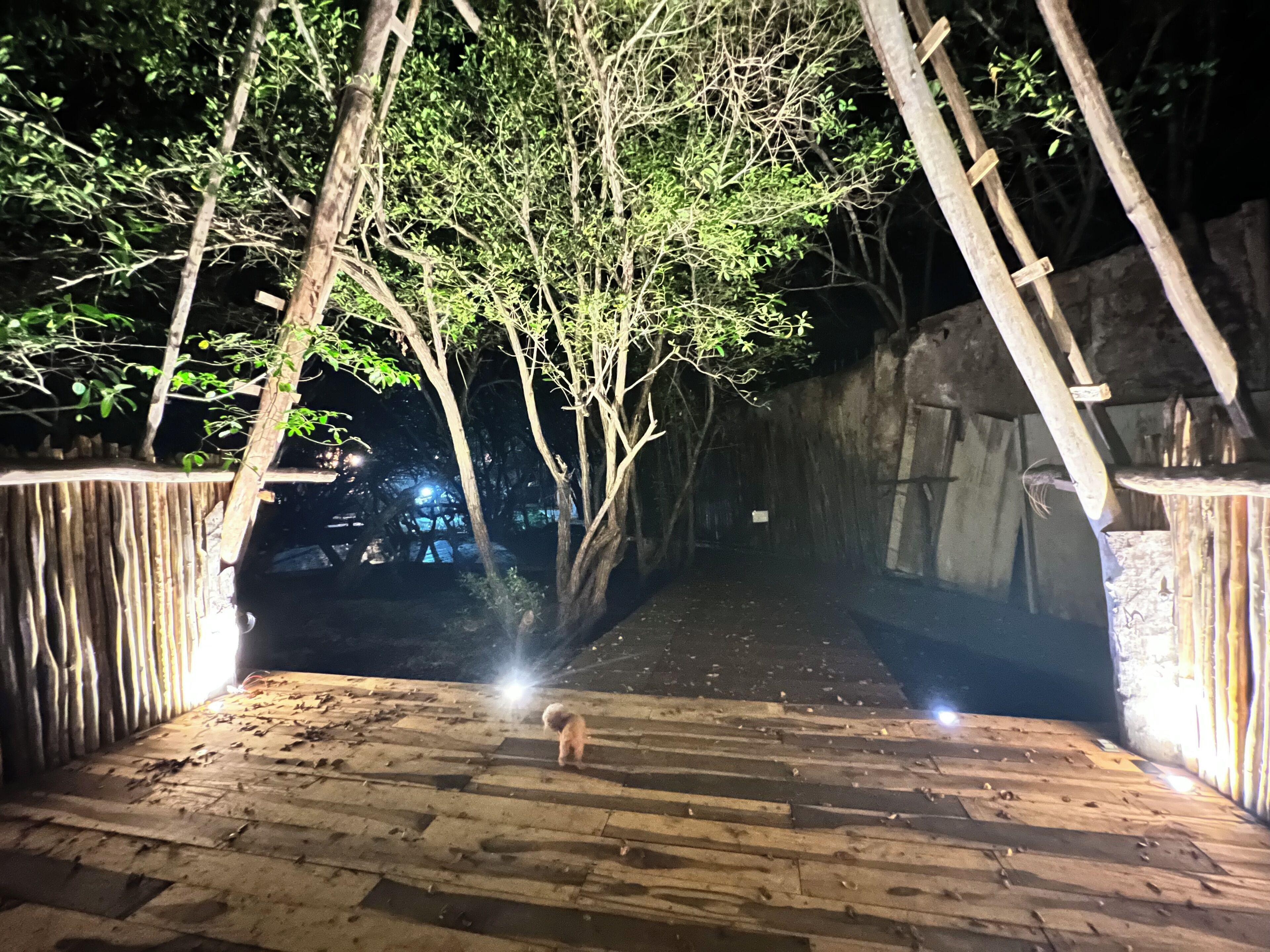 Hotel Caiman Habitat