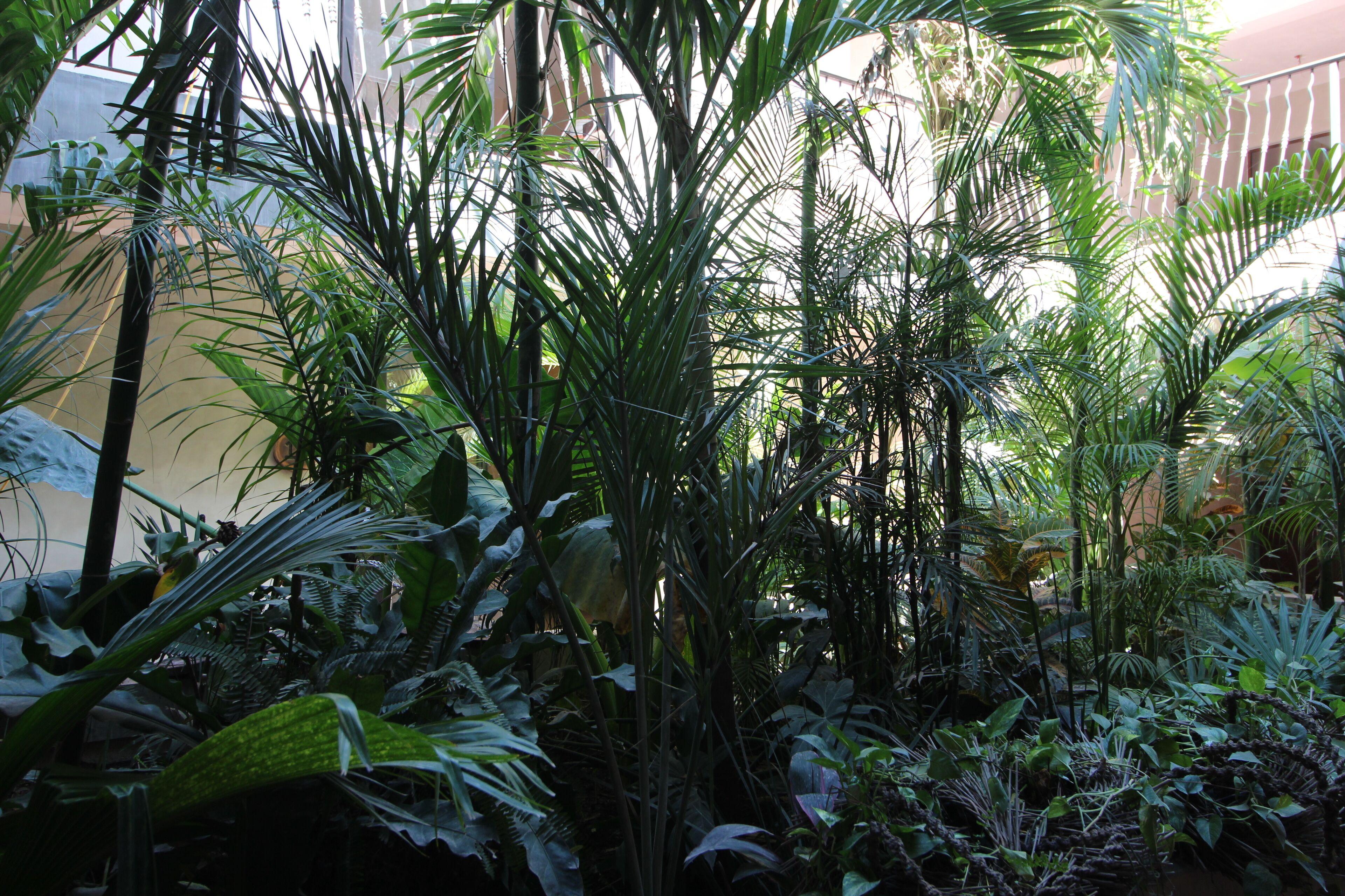 Hotel Calea Boutique Tulum