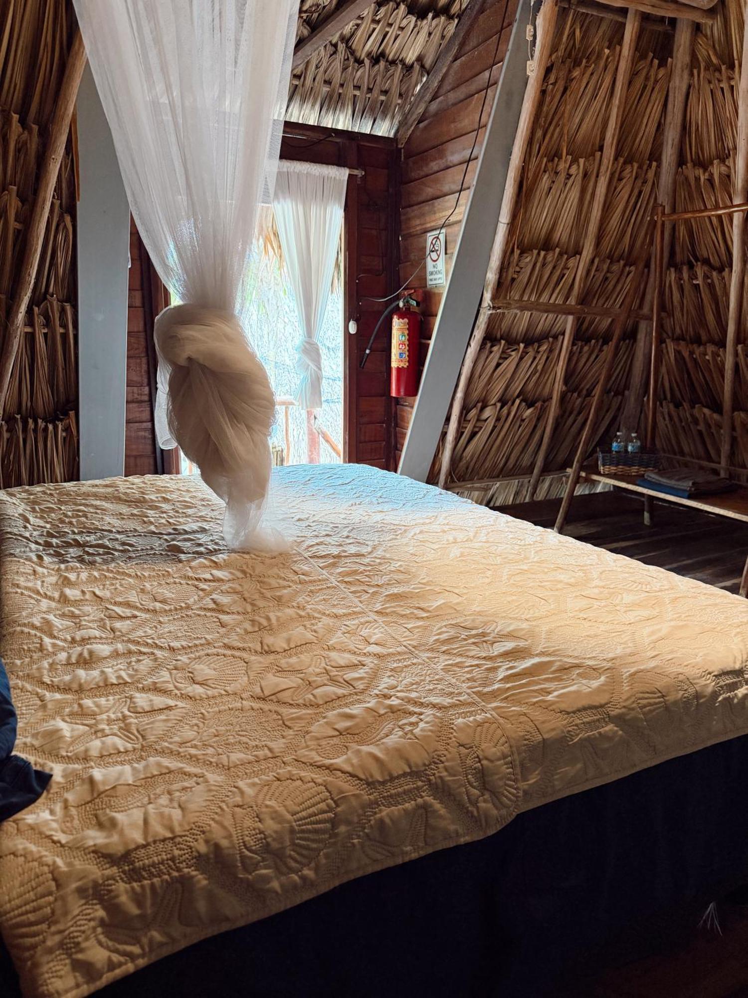 Chavez Eco And Campsite