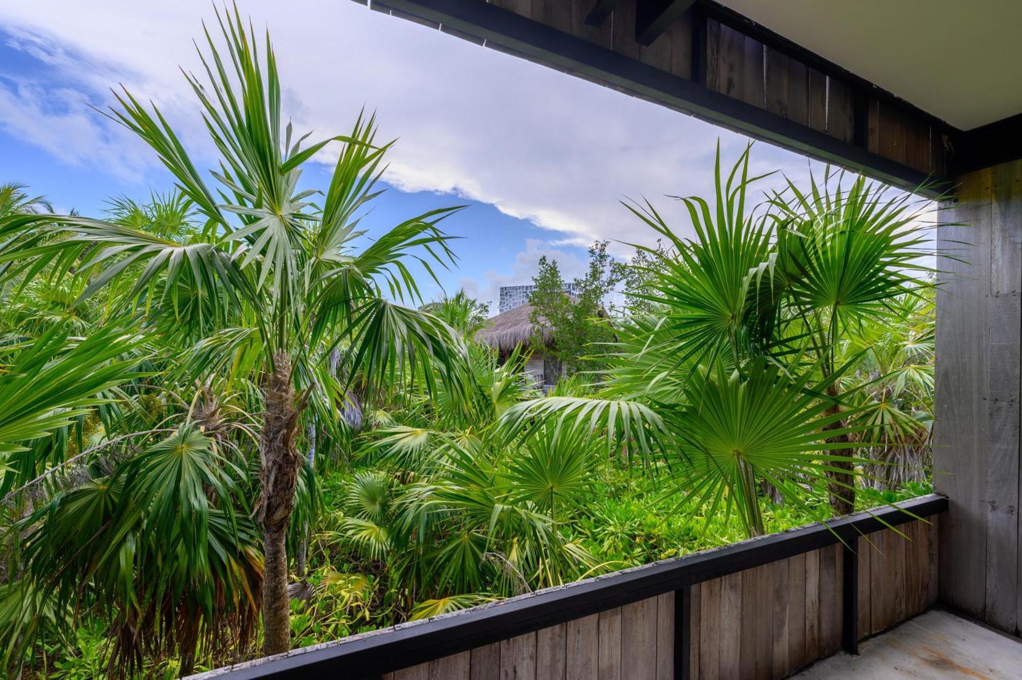 Vida Silvestre Tulum