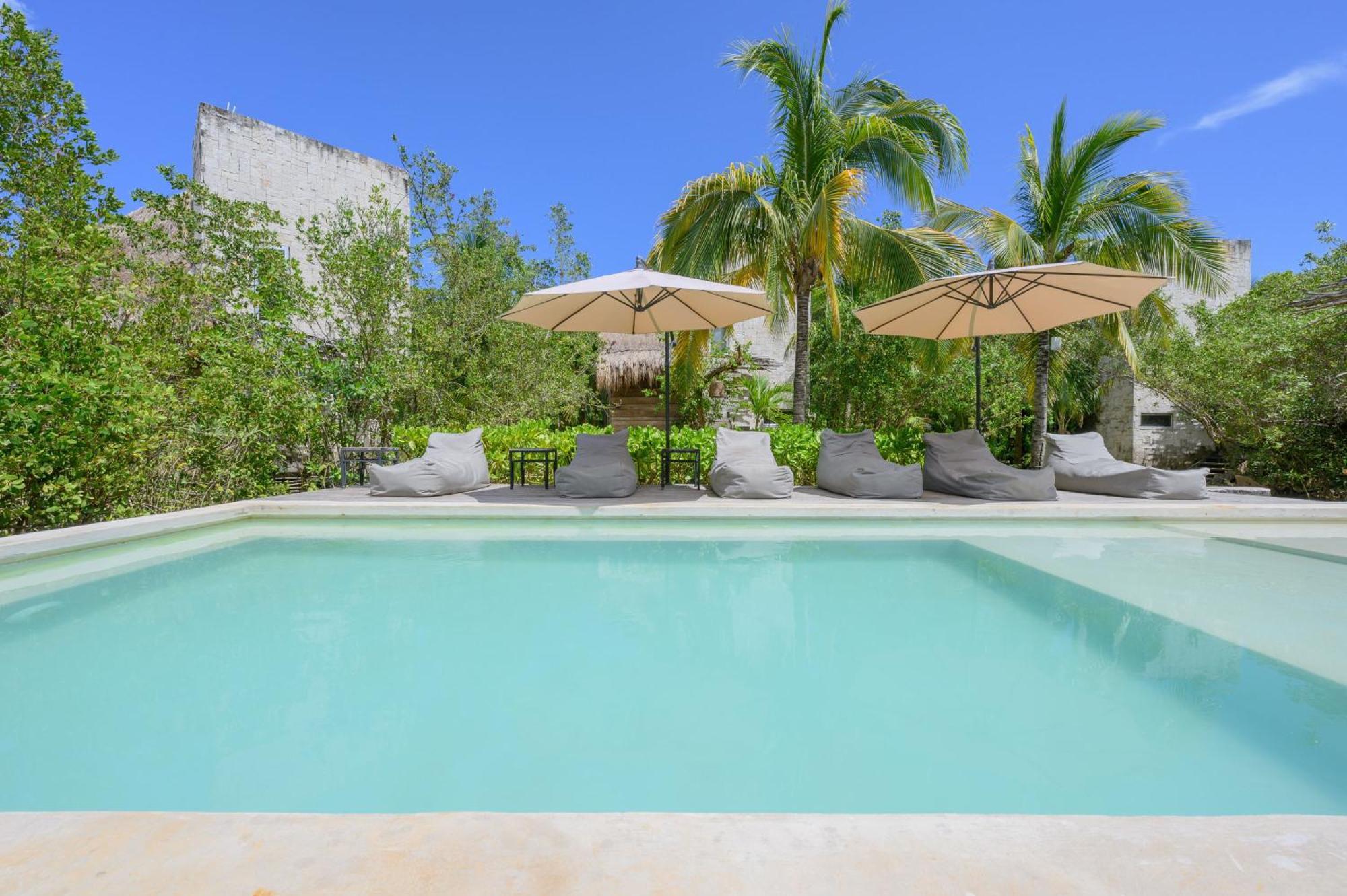 Vida Silvestre * Tulum