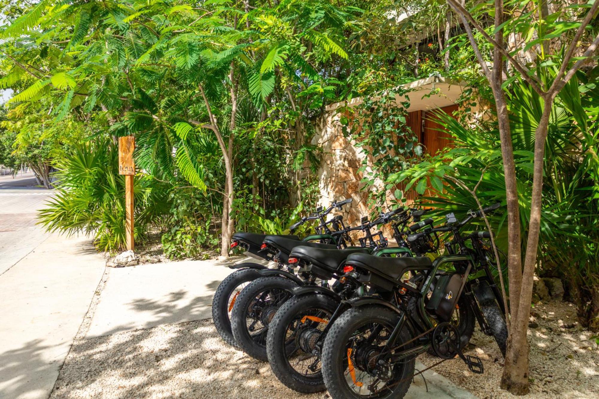 Teva Tulum, Aldea Zama Apartment Tulum