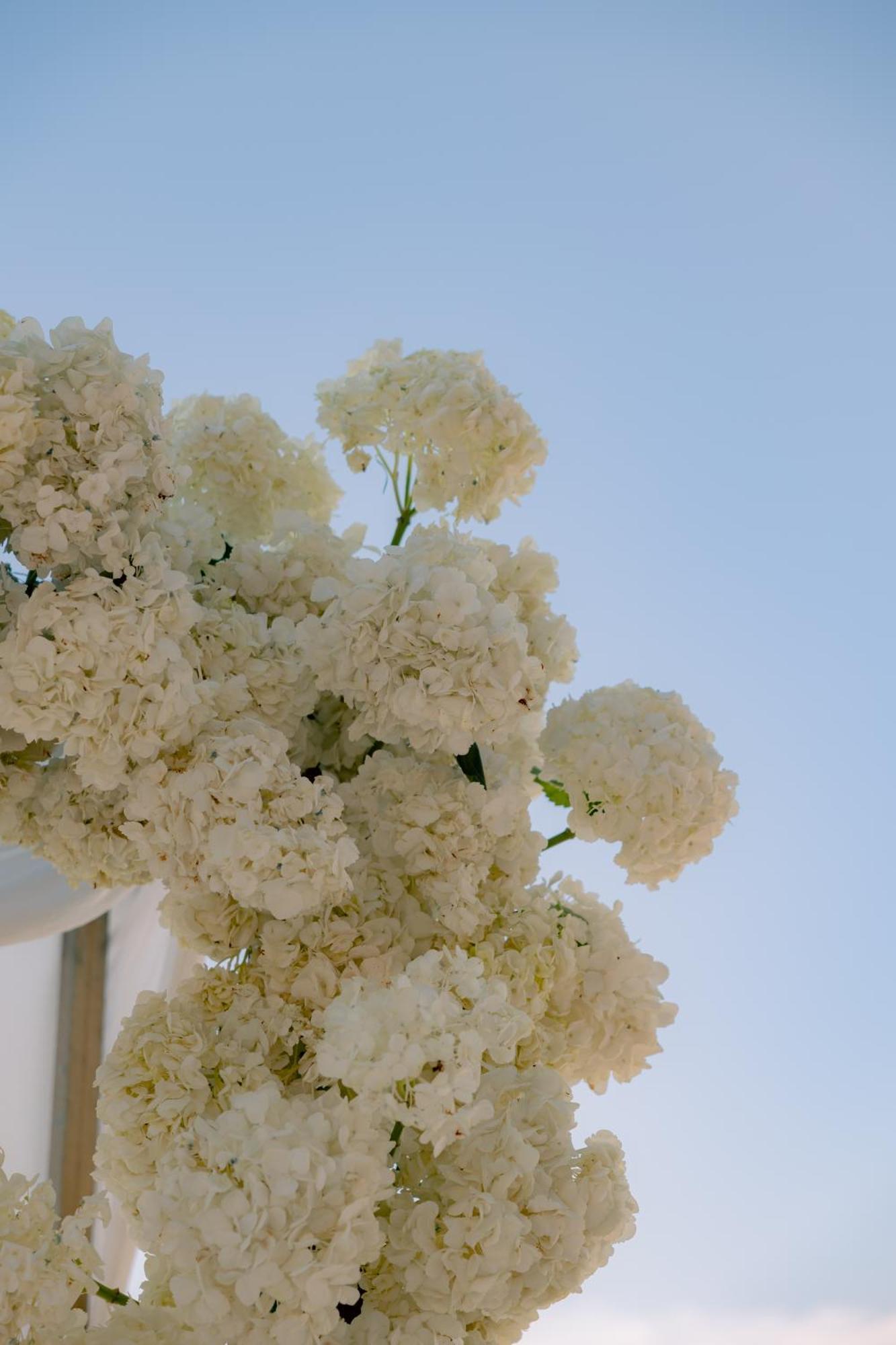 Hotel Alquimia Boutique