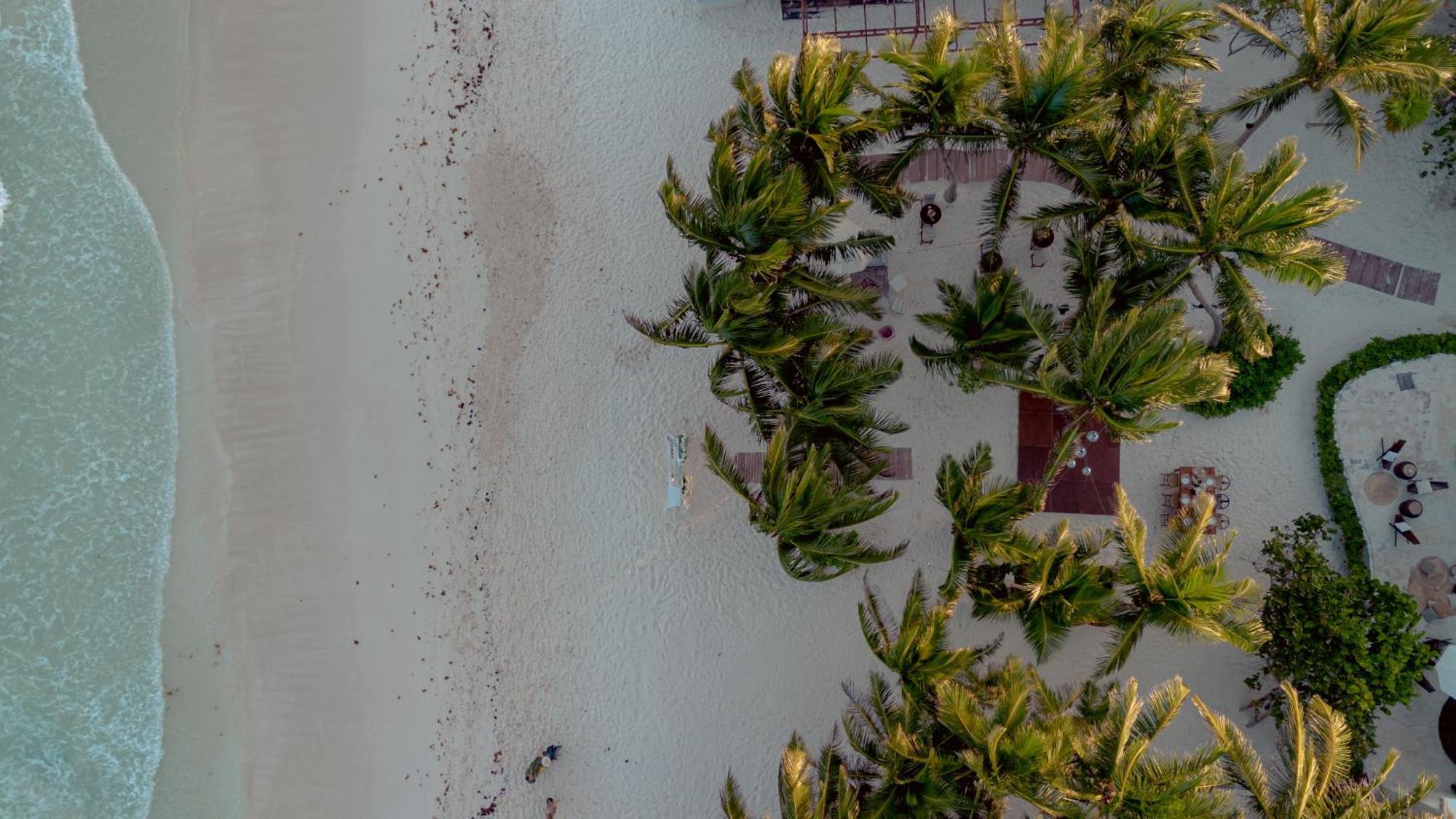 Hotel Alquimia Boutique 4*