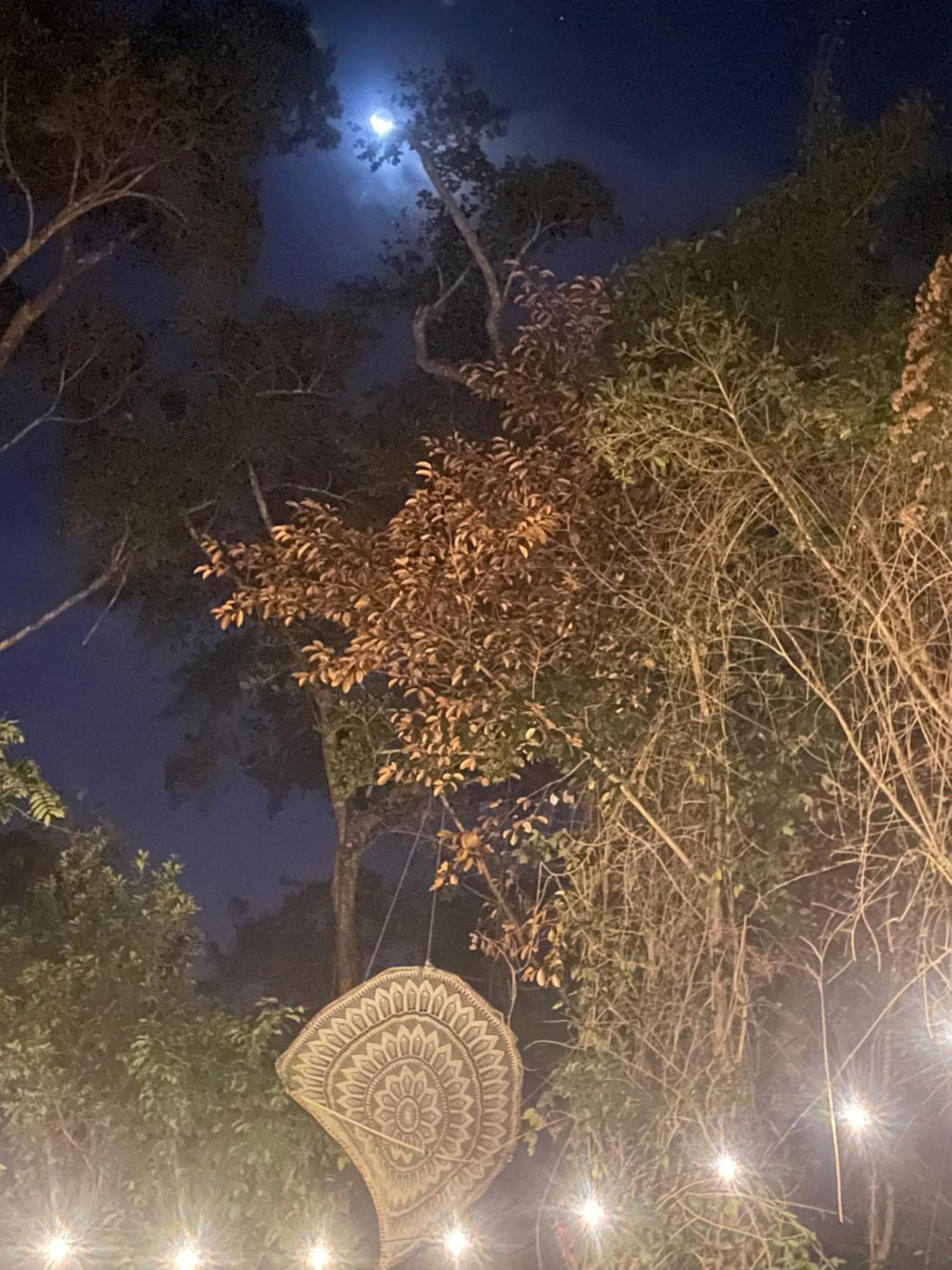 Casa Tzalam Selva 4*