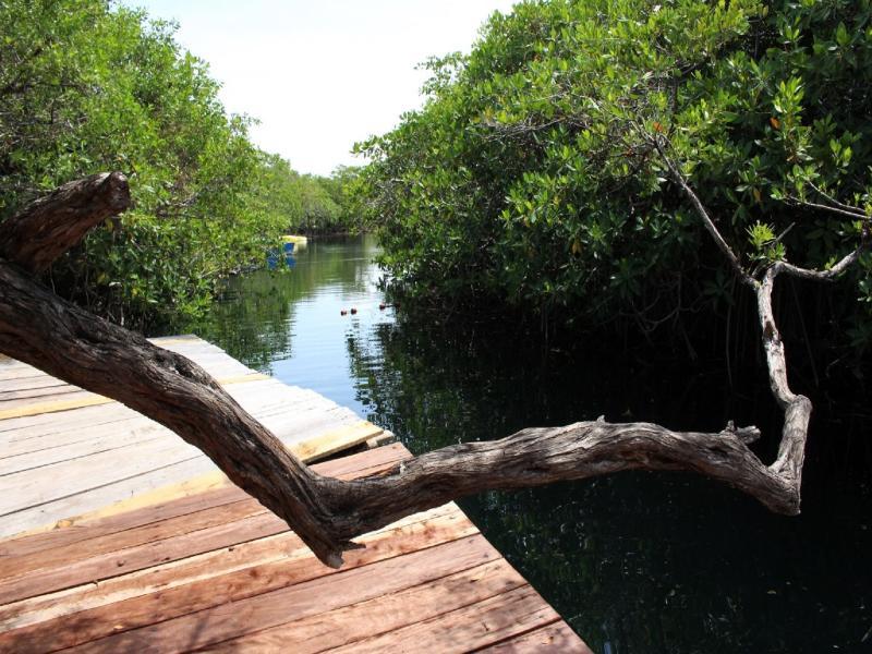 Hotel Maya Y Cenote 2*