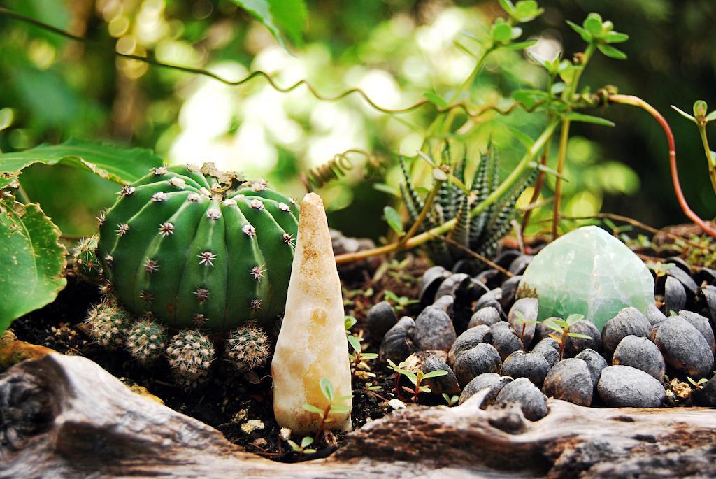 Mi Sagrado Eco Boutique Apartment Tulum