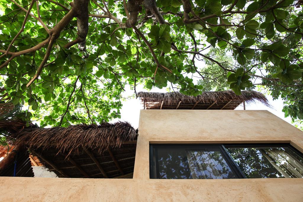 Casa Kankin