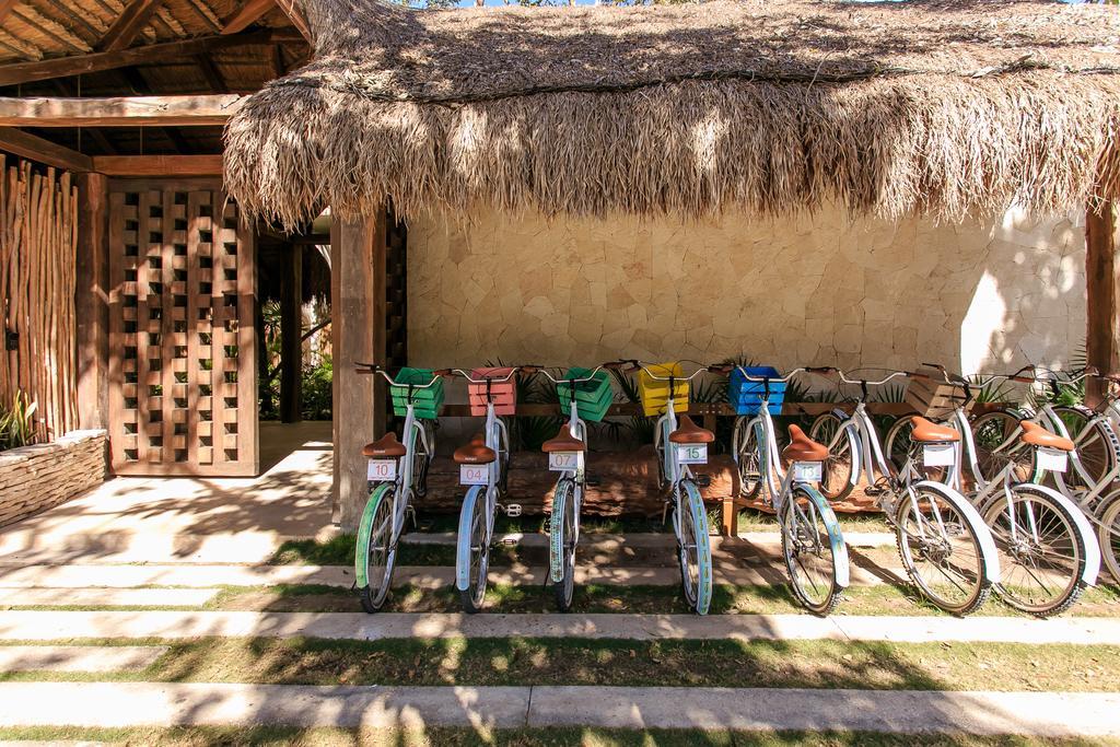 Apartment Eco-chic Design Wrapped In Nature's Elements By Stella