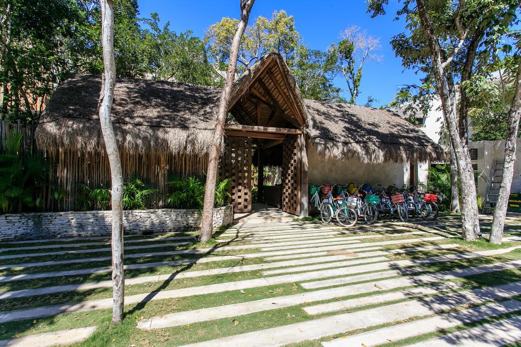 Apartment Eco-chic Design Wrapped In Nature's Elements By Stella Tulum